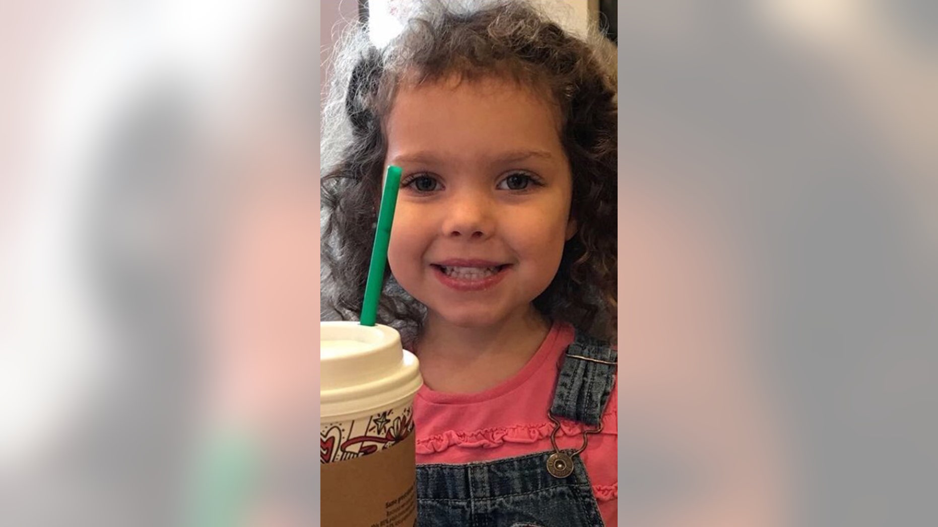 Heidi Renae Todd , 4, was reported missing from her home in South Carolina on Tuesday.