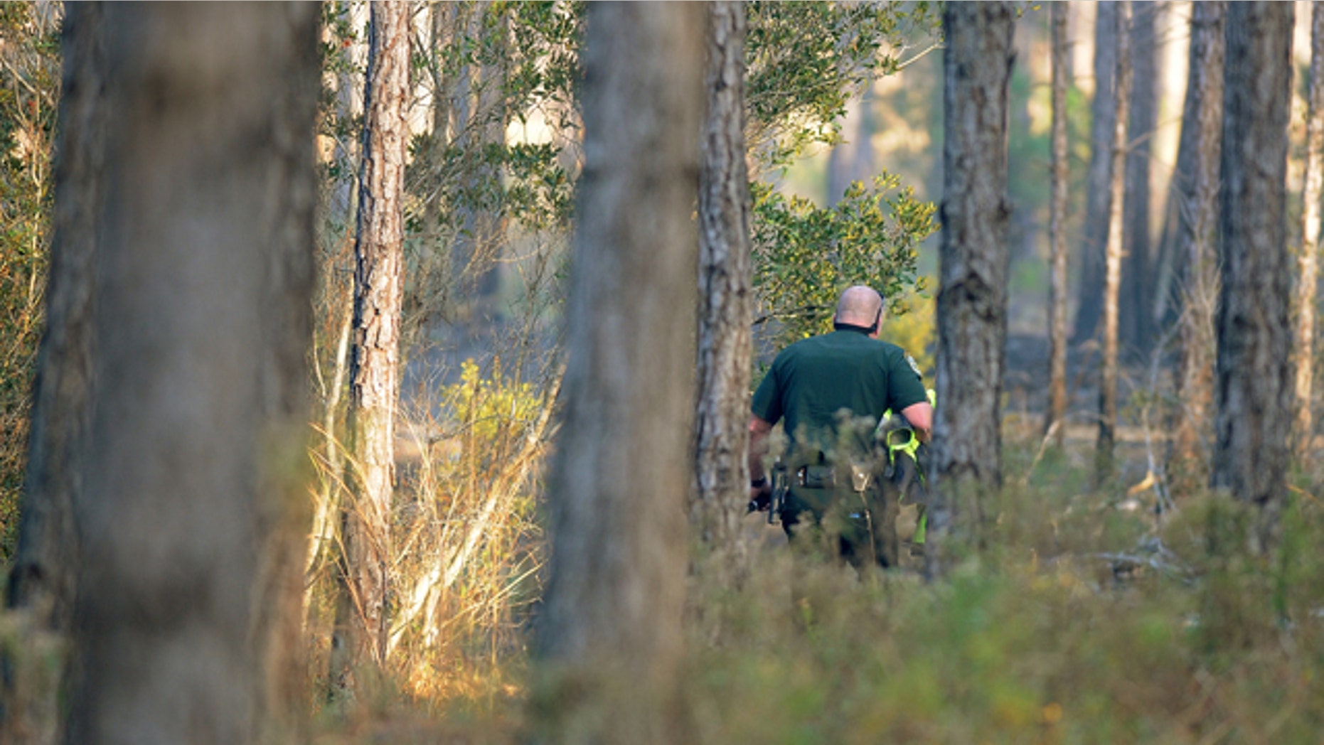 Dec. 26: A Clay County Sheriff's deputy walks by smoldering brush on his way to wreckage from a helicopter crash in an area west of Green Cove Springs.