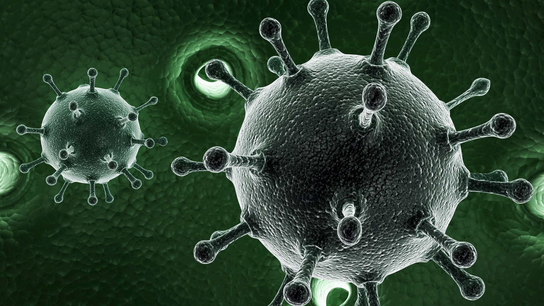 A 3-D rendering of hepatitis C.