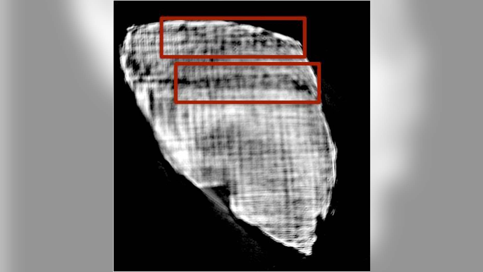 Hundreds of rolled, charred papyrus scrolls that were buried in ash in Herculaneum after the eruption of Mount Vesuvius in A.D. 79 could finally be read, thanks to a new technique that uses X-ray tomography. Here, letters from one of the interi