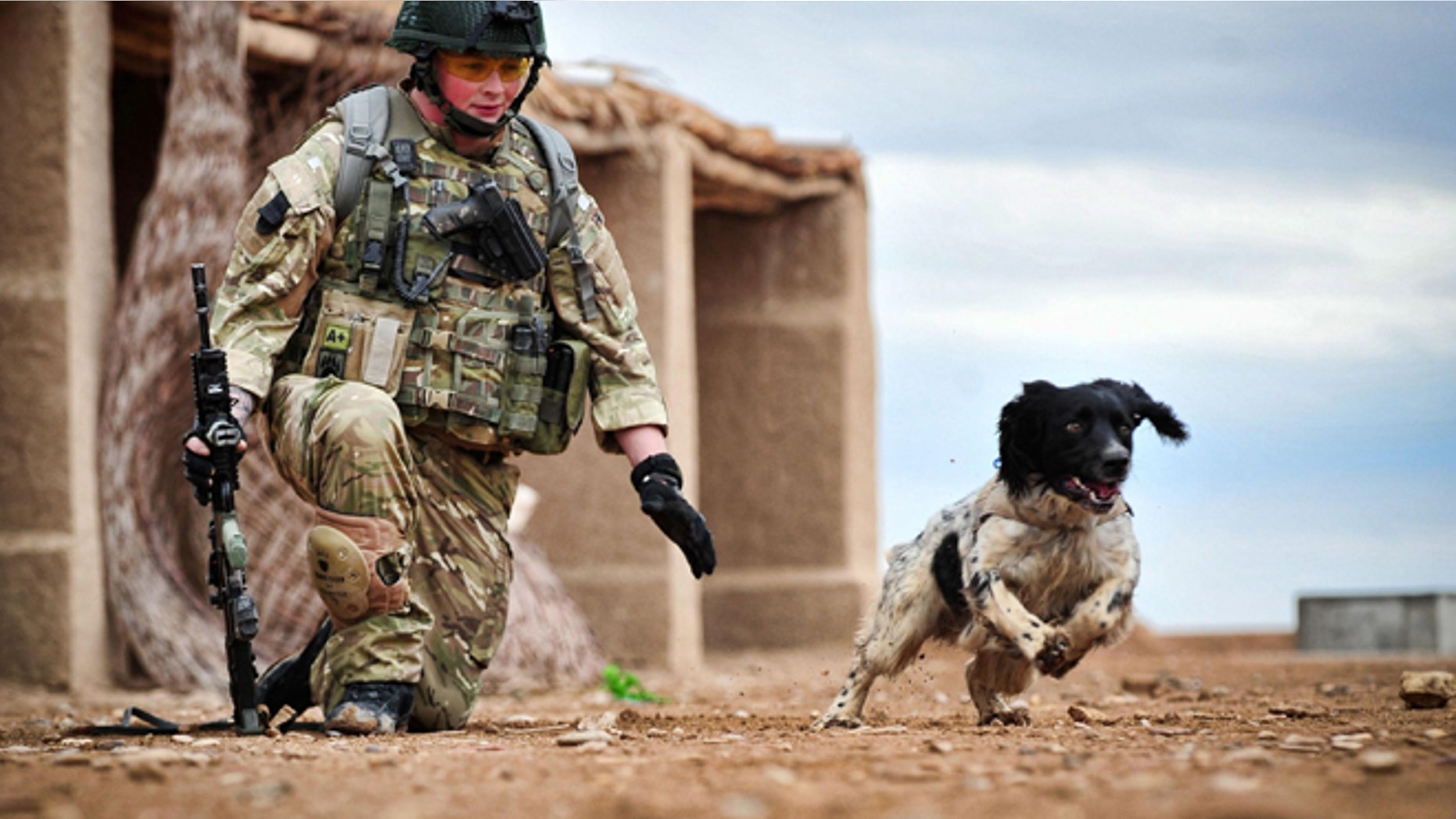 This is a undated Ministry of Defence handout photo made available on Thursday Oct. 25, 2012 of Lance Corporal Liam Tasker and his Springer spaniel mix Theo.