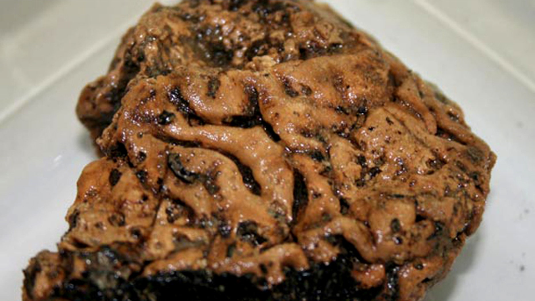 A piece of the preserved Heslington brain after it was removed from the skull in which it was found.