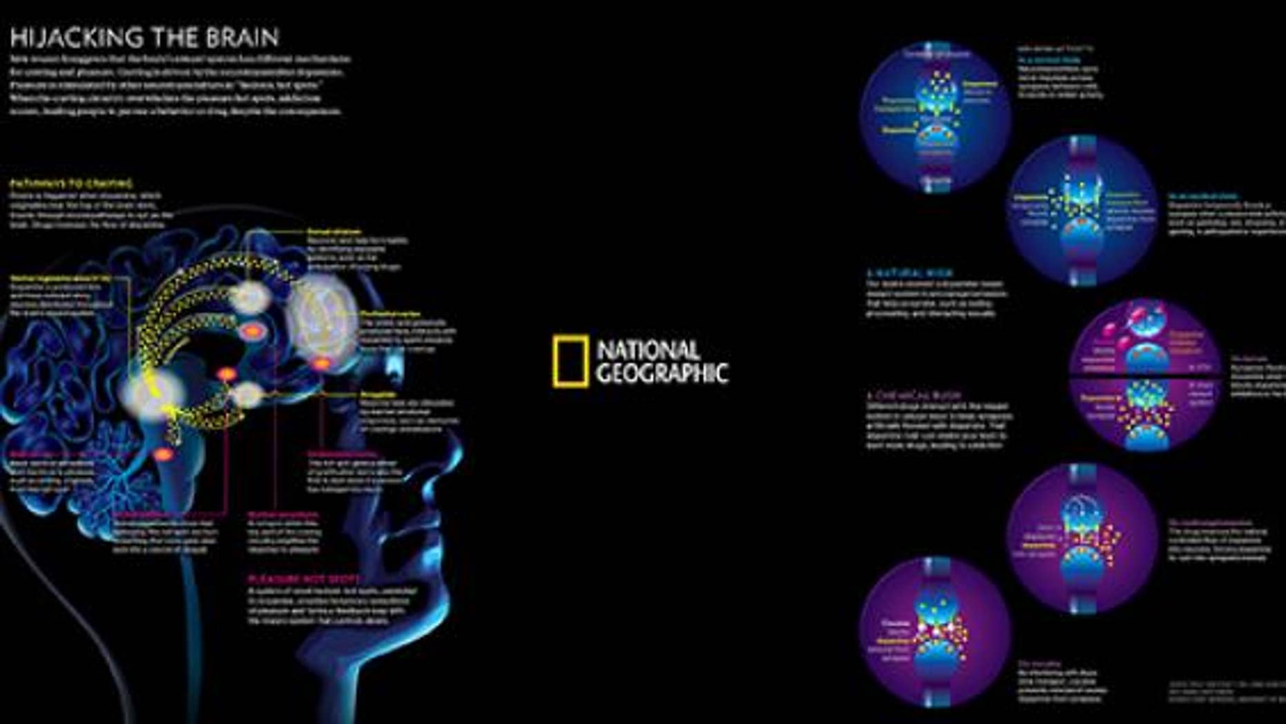 National Geographic: The Science of Addiction | Fox News