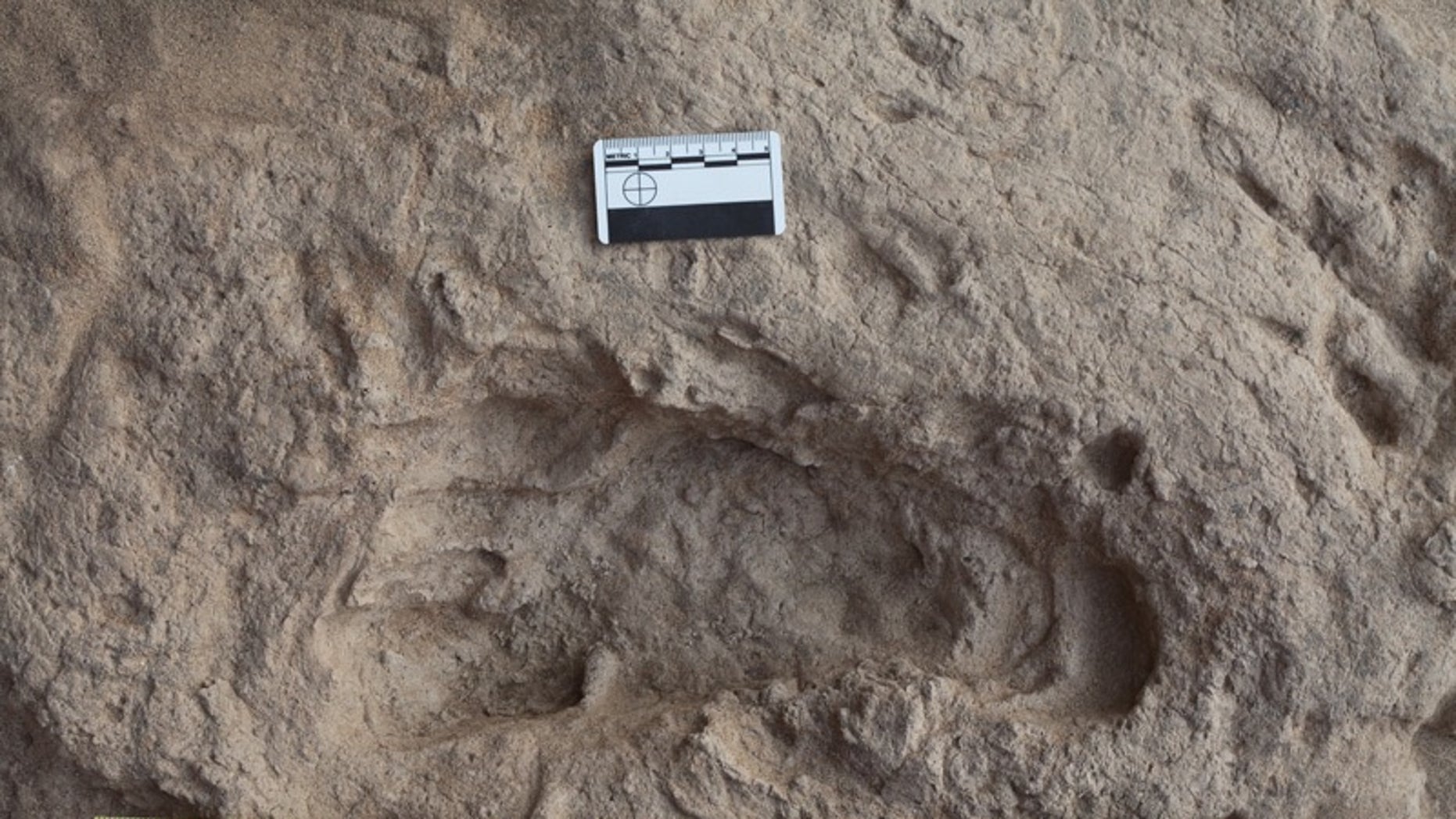 1.5-million-year-old Footprints Reveal Human Ancestor Walked Like Us ...