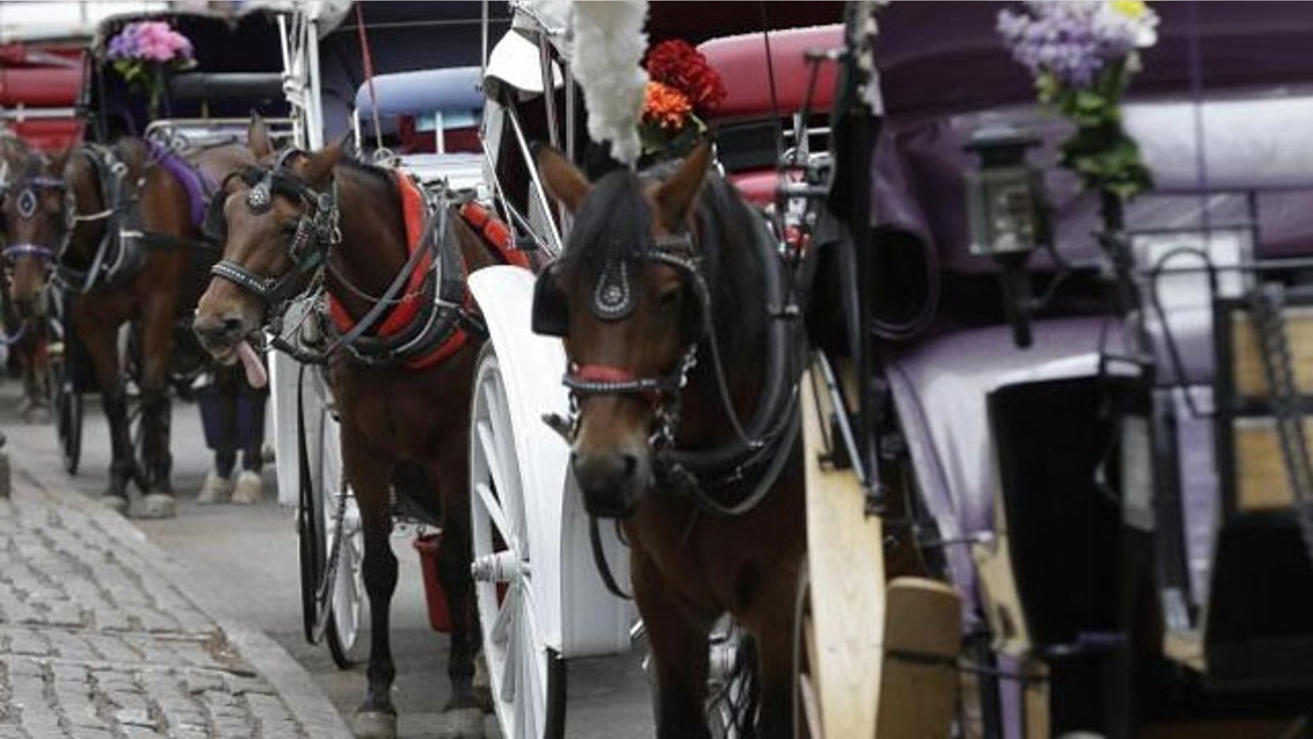 Horses and carriages wait for customers near New York's Central Park (AP/File)