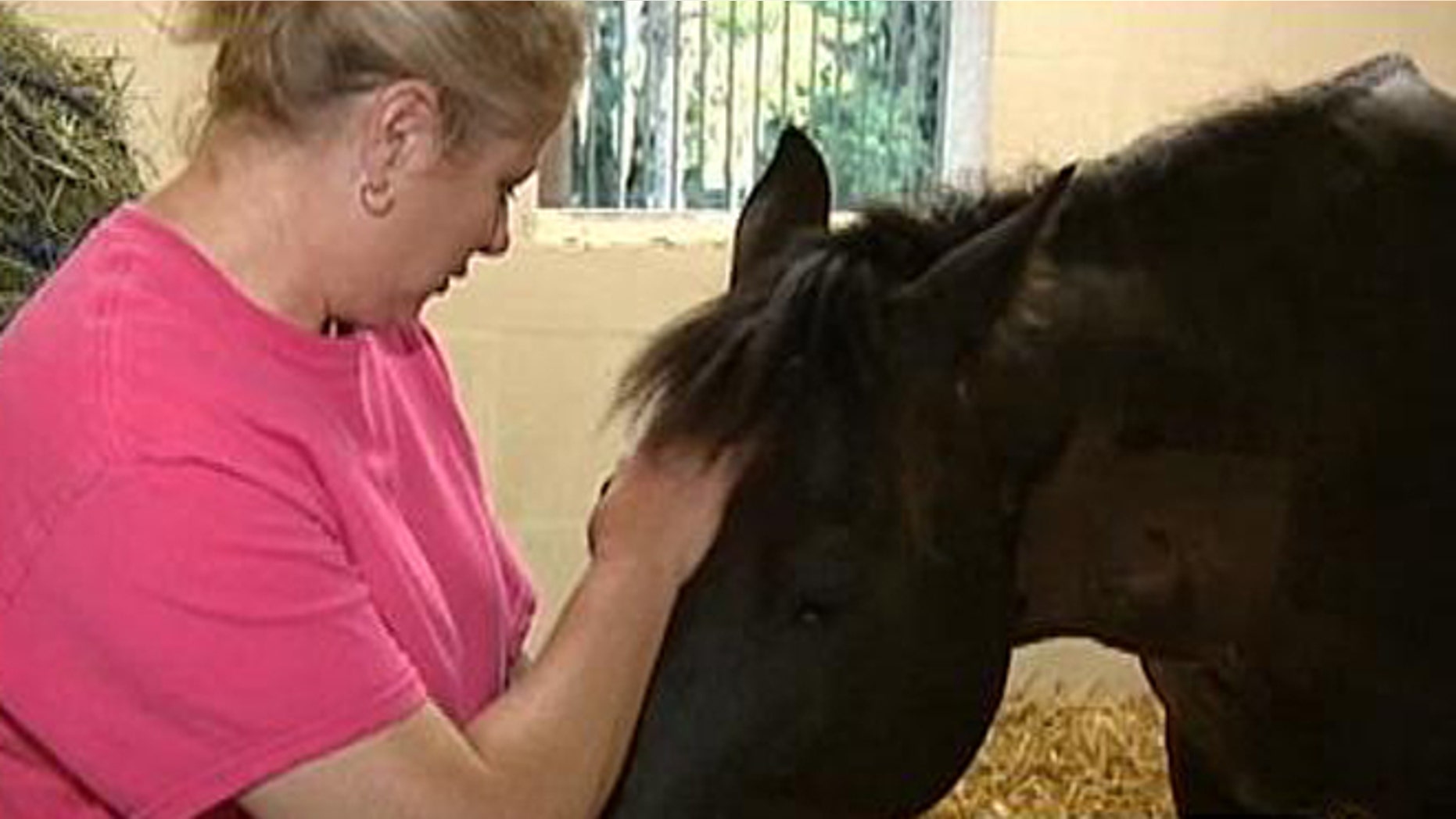 Leah Greenleaf suspects that her horse -- which has fallen ill -- was injected with gasoline.