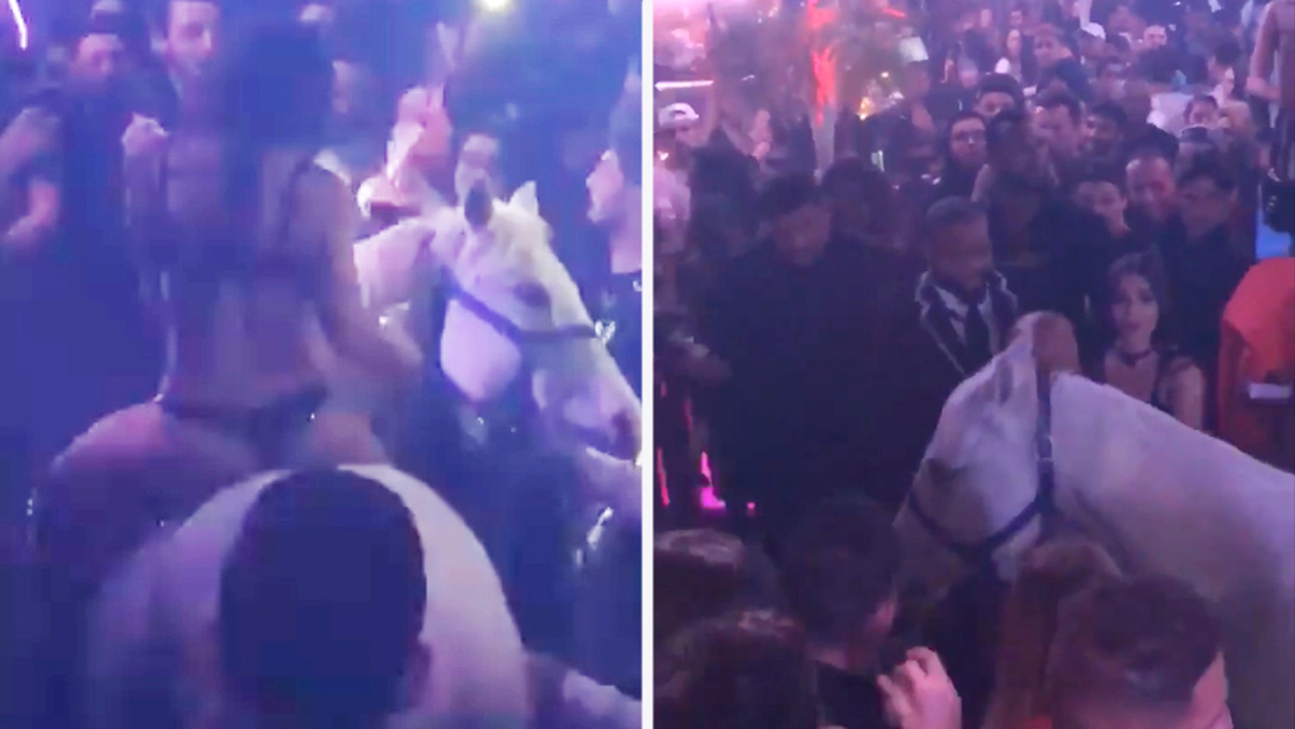 Police are investigating after video surfaced online showing a woman riding a horse inside of a Miami Beach nightclub.