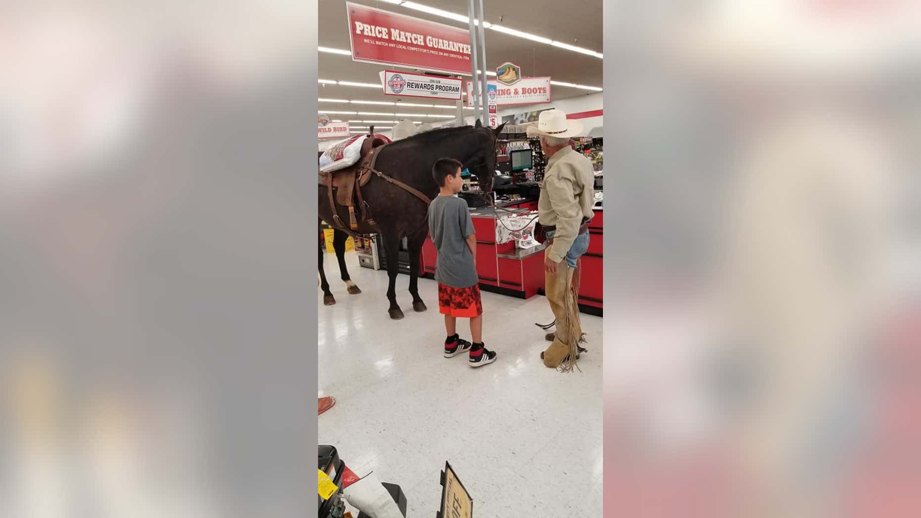 The man said he came to buy senior feed for his horse, which is a senior.