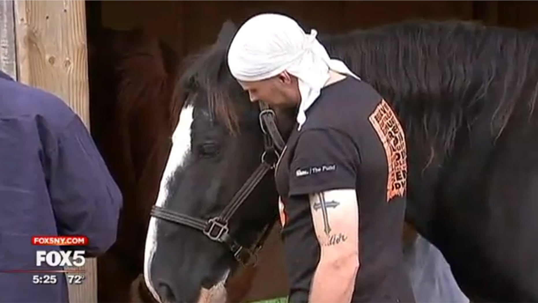 The horse program is offered free to veterans, and is need of donations to keep it running.