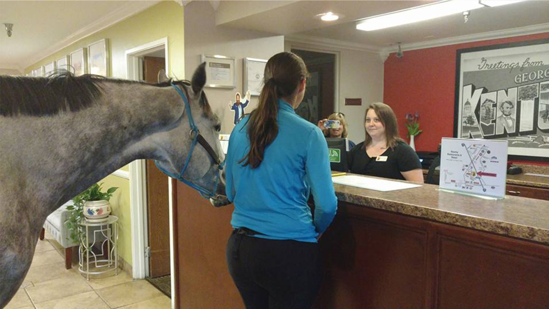 The woman credits her horse's calm behavior through their hotel stopover to good training.