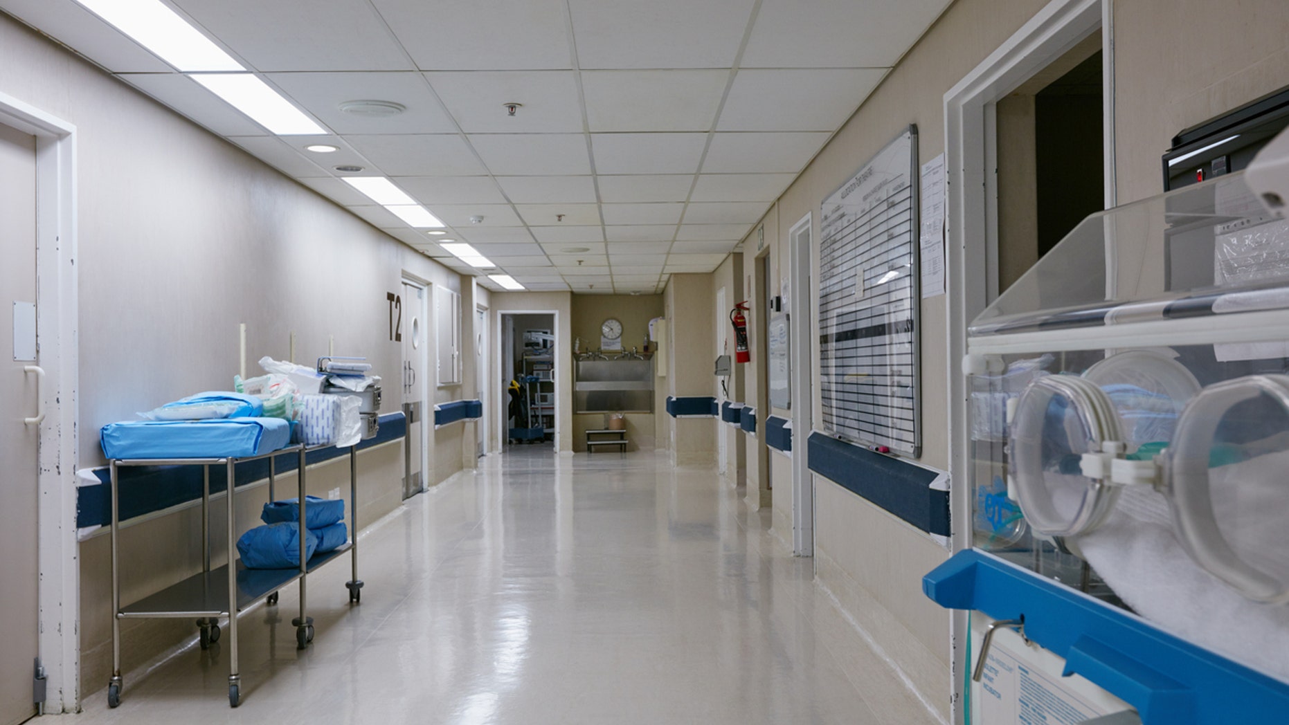 The baby died just a day after the mother. (Hospital is not pictured)