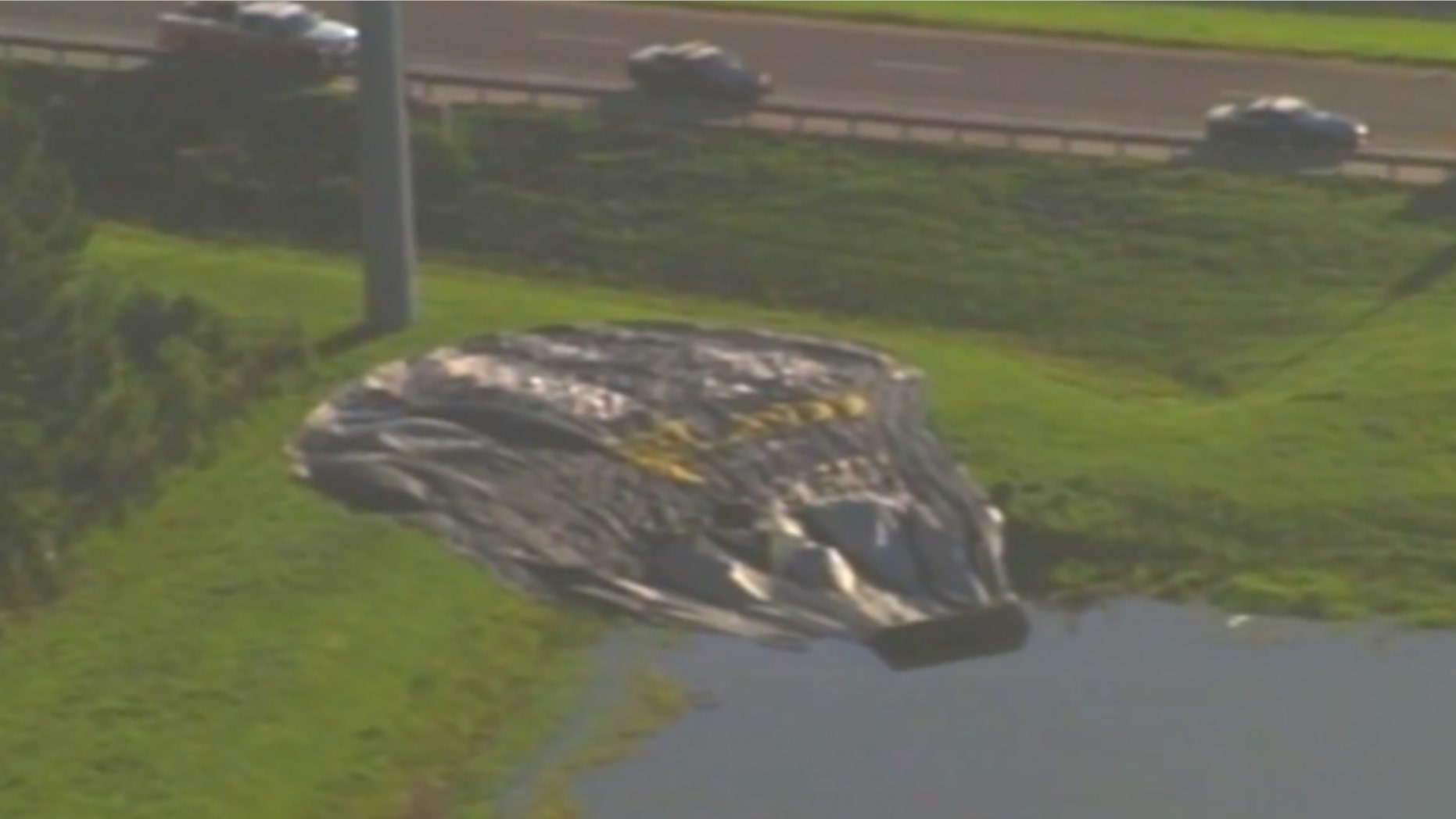 A hot air balloon made an unexpected landed into a retention pond near Disney World.