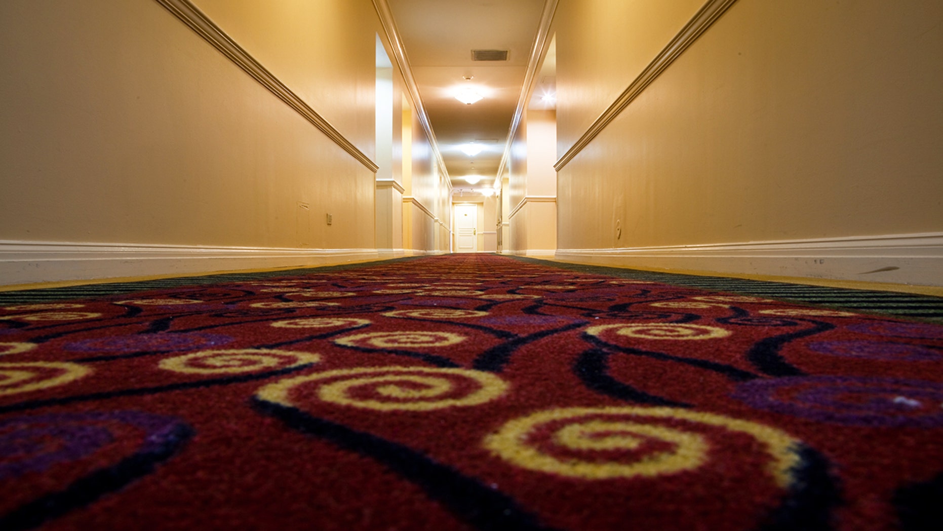 Bill Young has been documenting hotel carpets for years, but his Instagram account only took off this week.