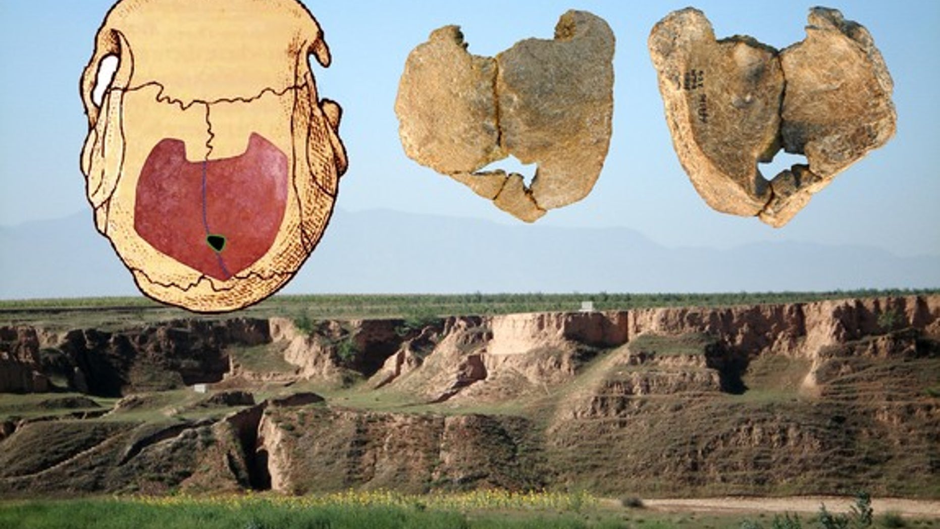 Human skull fossils (inset) found at the Xujiayao site in China (background) show signs of a genetic disorder that hints at inbreeding.