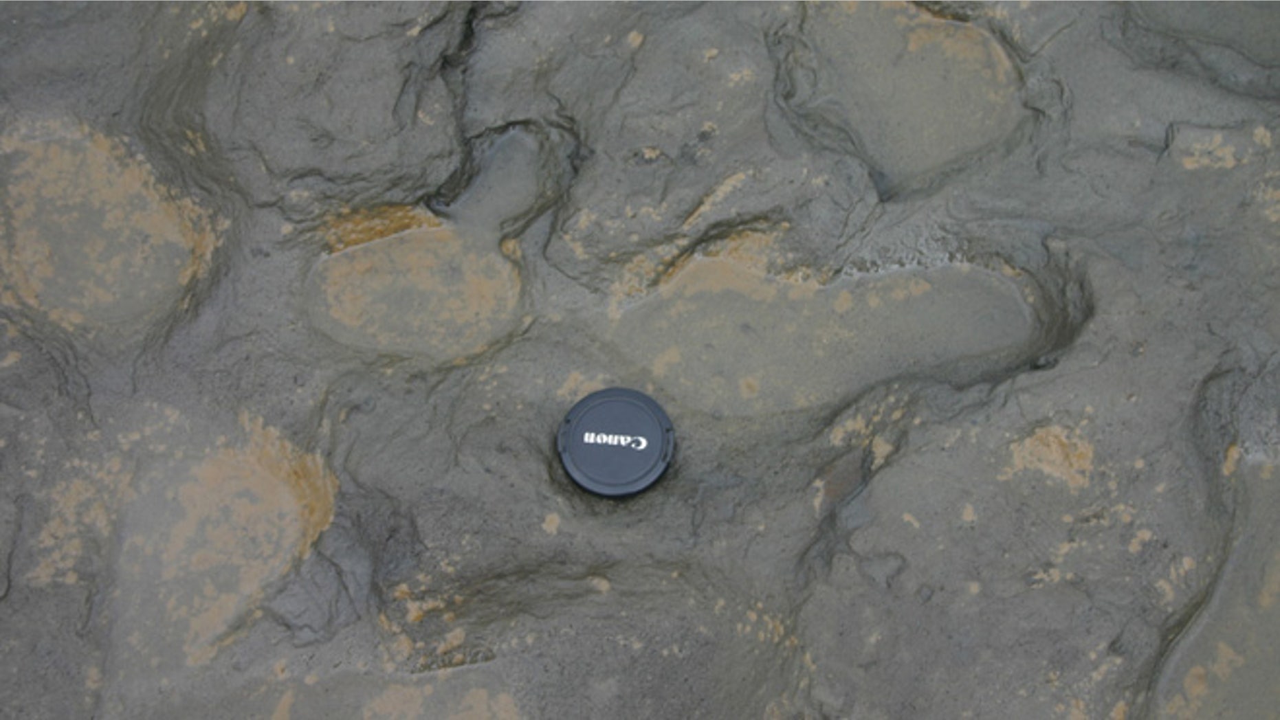 Undated handout photo issued by the British Museum of some of the human footprints, thought to be more than 800,000 years old, found in silt on the beach at Happisburgh on the Norfolk coast of England, with a camera lens cap laid beside them to indicate scale.