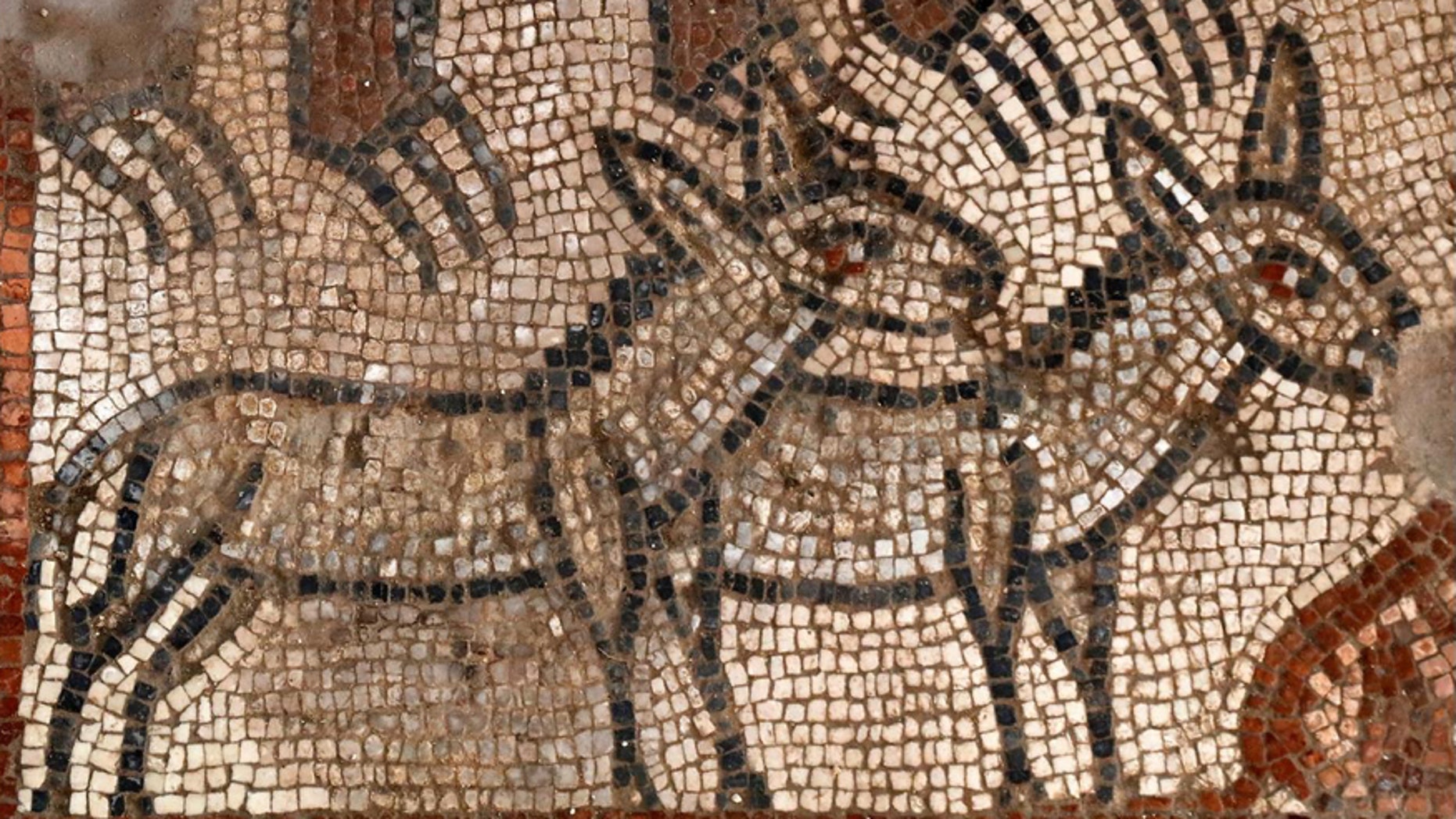 The Noah's Ark mosaic (credit: Jim Haberman).