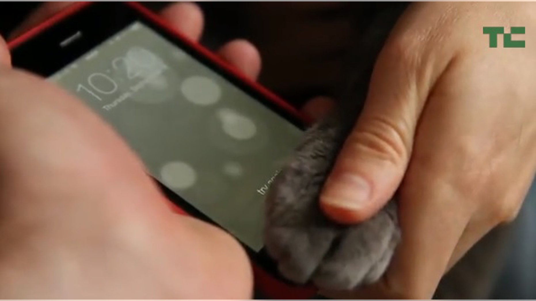 A screengrab of a video from the TechCrunch site, where a blogger configured the fingerprint reader on a new iPhone to respond to a cat's pawprint.