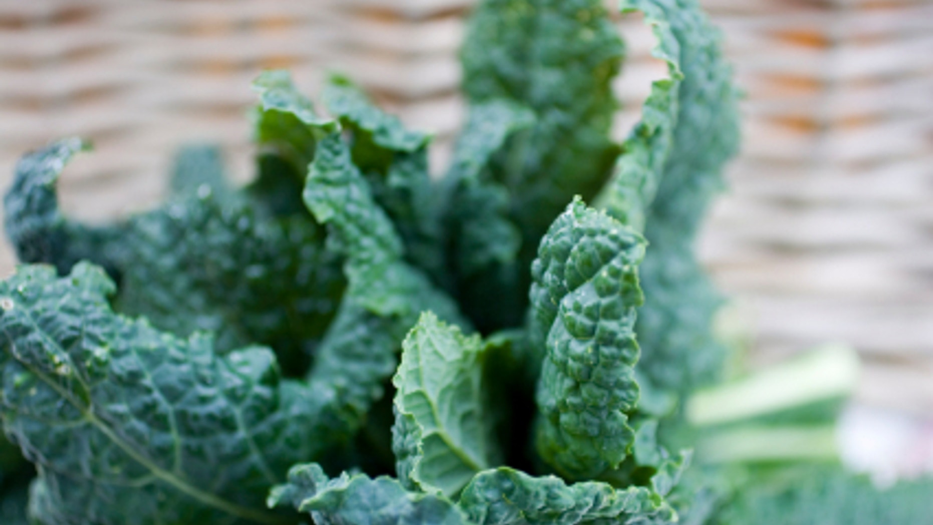Fresh kale.