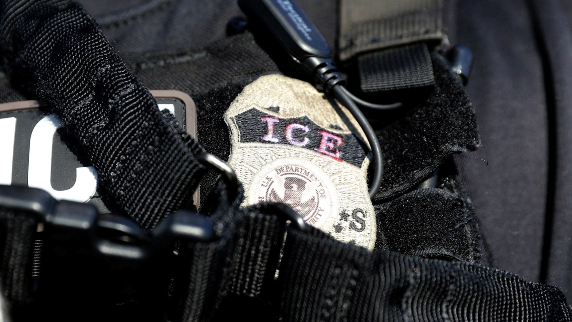 A Kansas City immigration lawyer claimed an ICE agent shoved her to the ground while she tried to reunited a 3-year-old boy with his Honduran mother, before deportation.