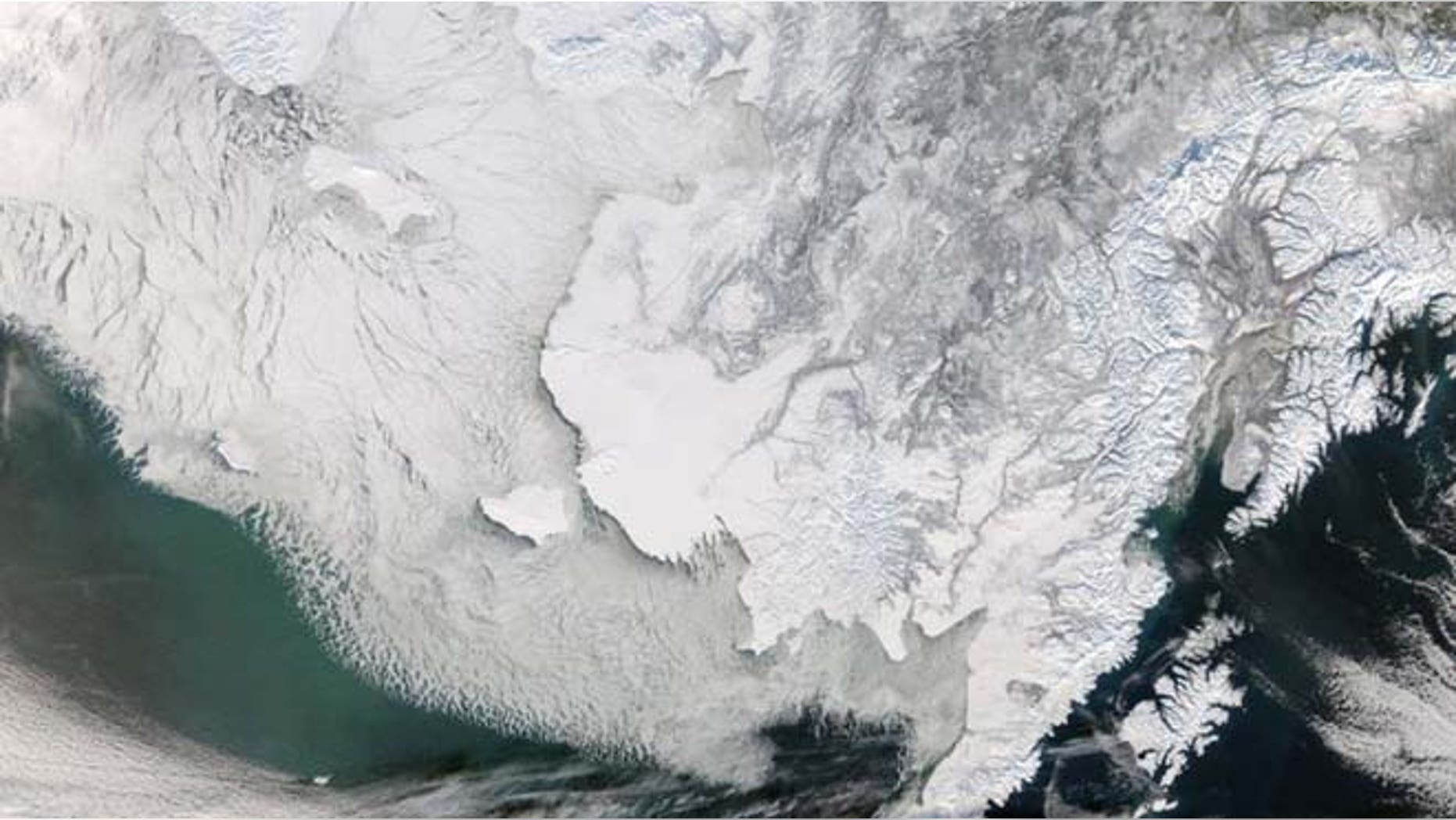 Canadian researchers discovered plants that grew in areas now covered by glaciers can now grow again.