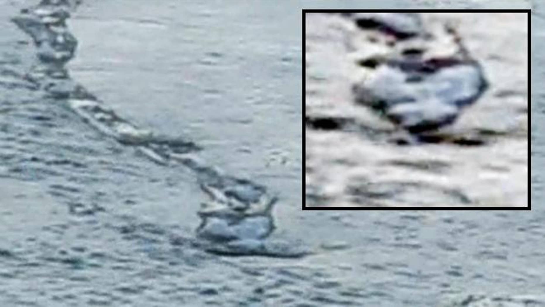 Caught On Camera Icelandic Monster Or Fishing Net Fox News