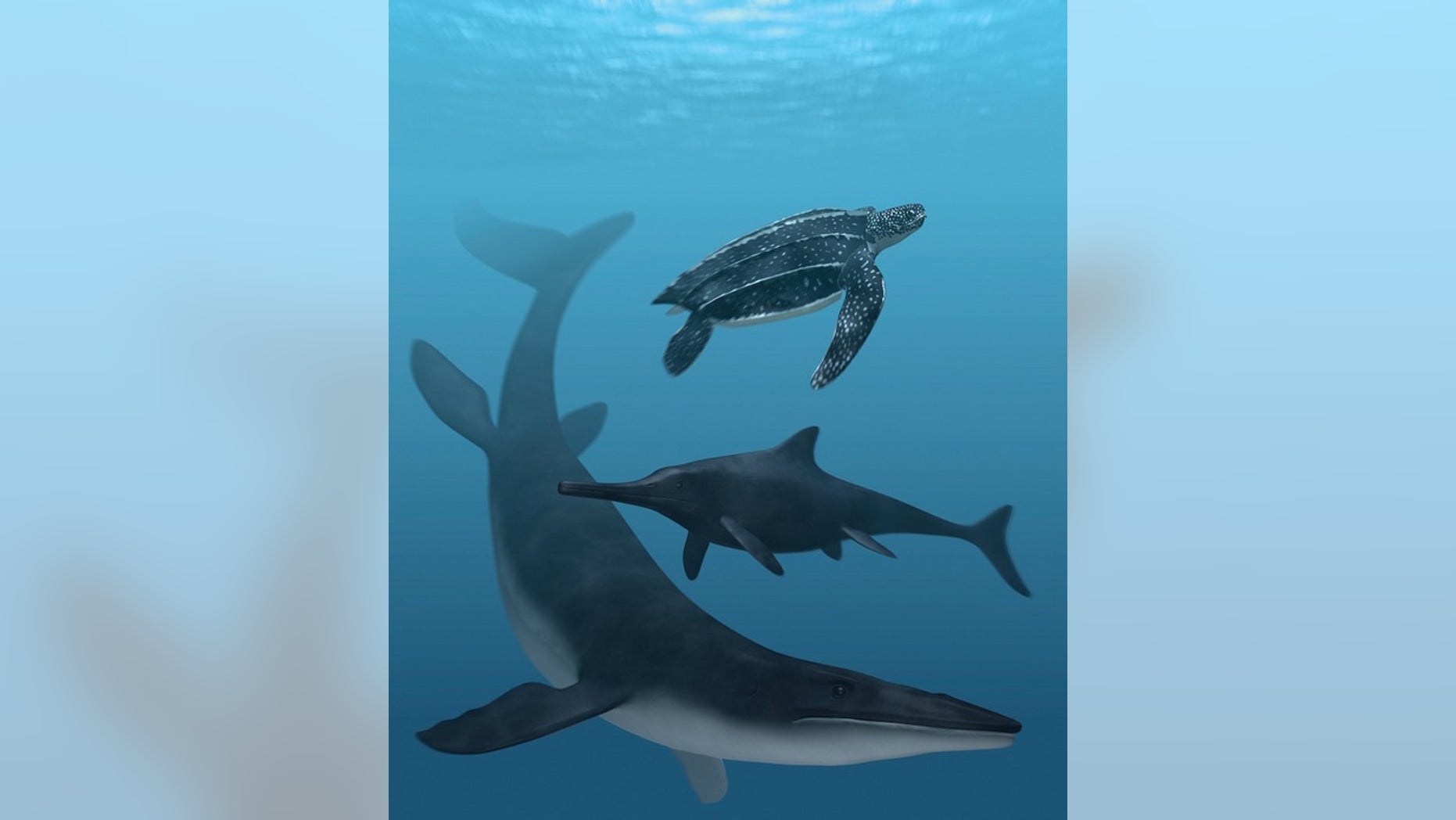 Fossil pigments reveal a dark coloring of extinct marine reptiles. The leatherback turtle (top) and mosasaur (bottom) have a dark back and a clear belly, a camouflage pattern, and the ichthyosaur (center) is uniformly dark.