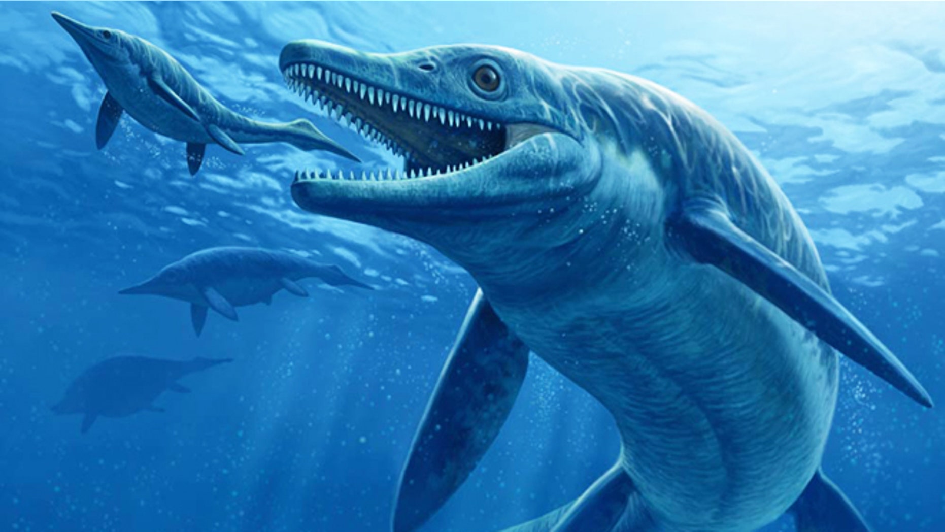 The giant ichthyosaur ruled the oceans some 244 million years ago. Here's what it may have looked like seizing a meaty snack.