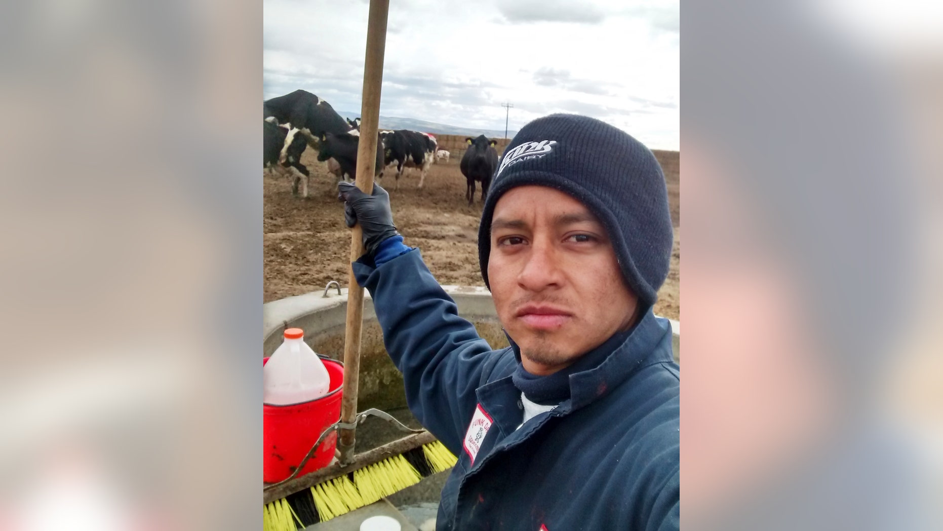 Cesar Neron Martinez Rodriguez at work at the Funk Dairy in Murtaugh, Idaho in 2015.