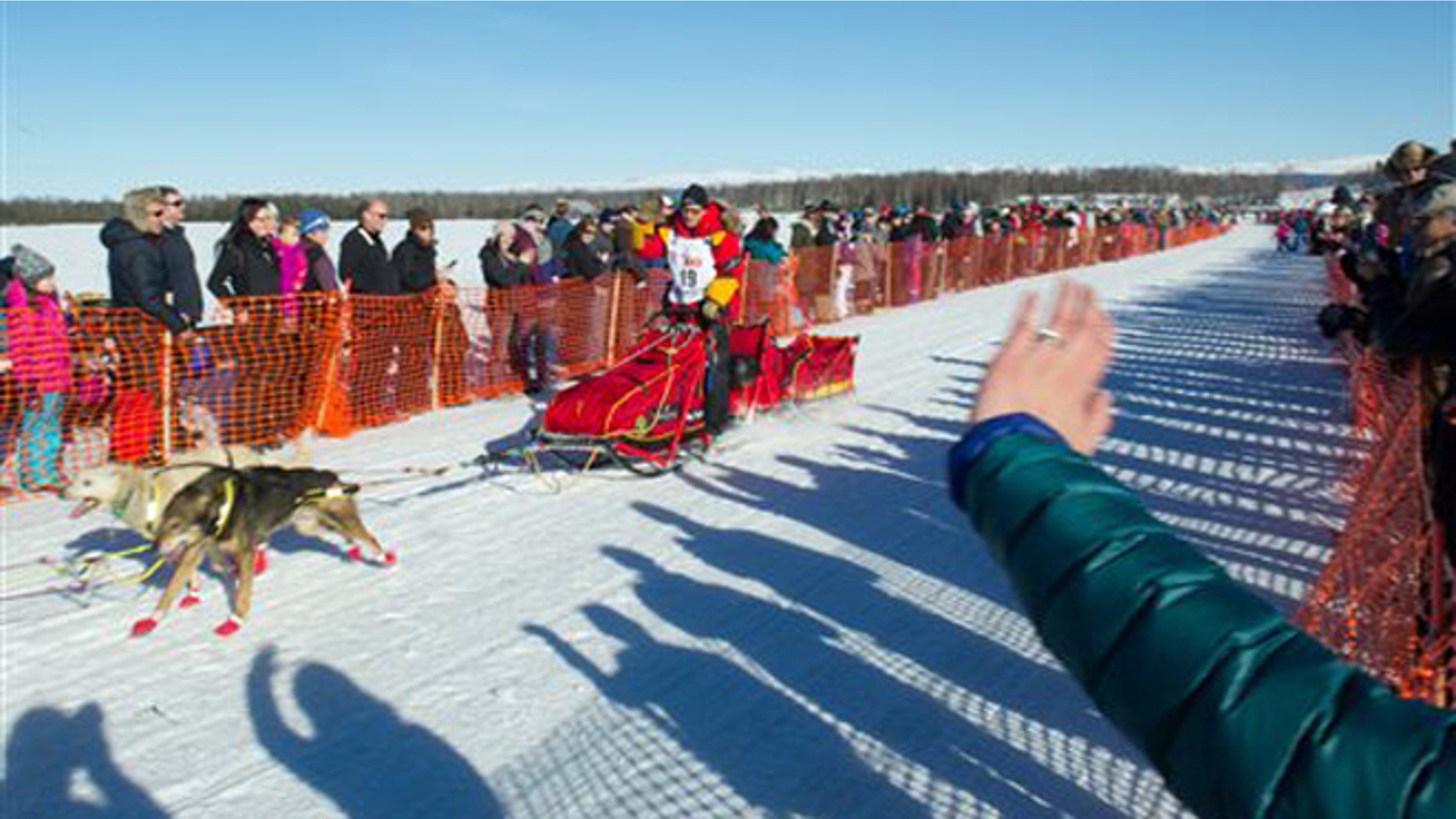 Iditarod Trail Sled Dog Race musher Mitch Seavey begins his race to Nome amongst a crowd of spectators Sunday, March 6, 2016 in Willow, Alaska. (AP Photo/Michael Dinneen)