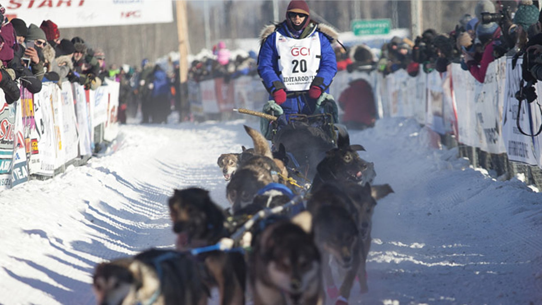 Karin Hendrickson, bib #20, at the start of the 45th Iditarod Trail Sled Dog Race in Fairbanks, Alaska, this week.