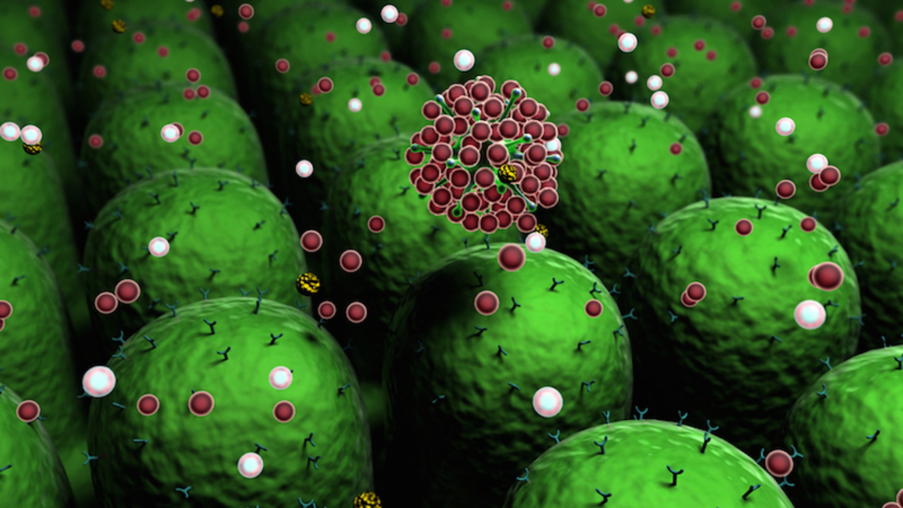 This drawing shows an artist's concept of the molecules of the human immune system at work.