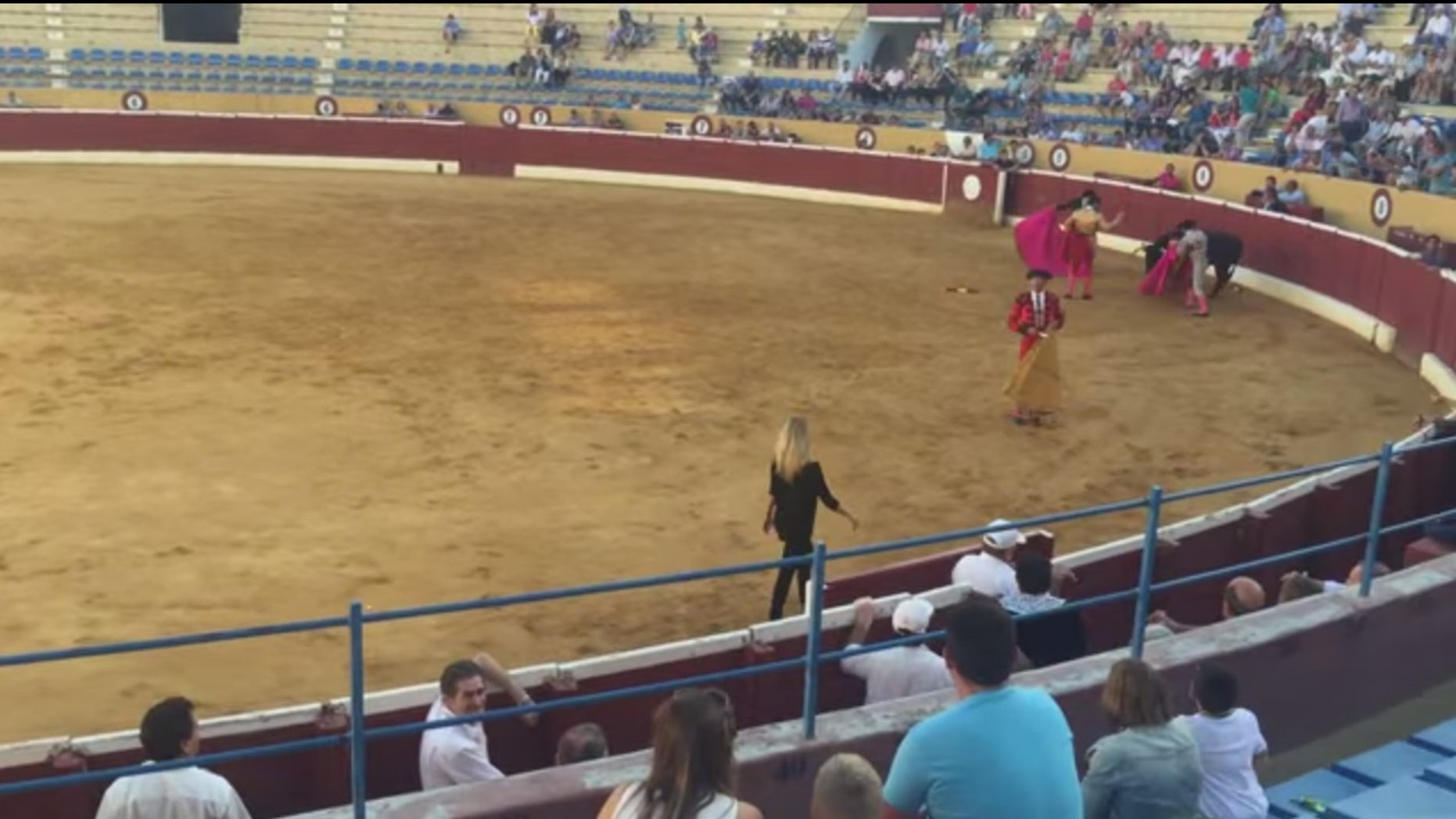 1862px x 1048px - Swedish porn star jumps into Spanish bullfighting ring to ...