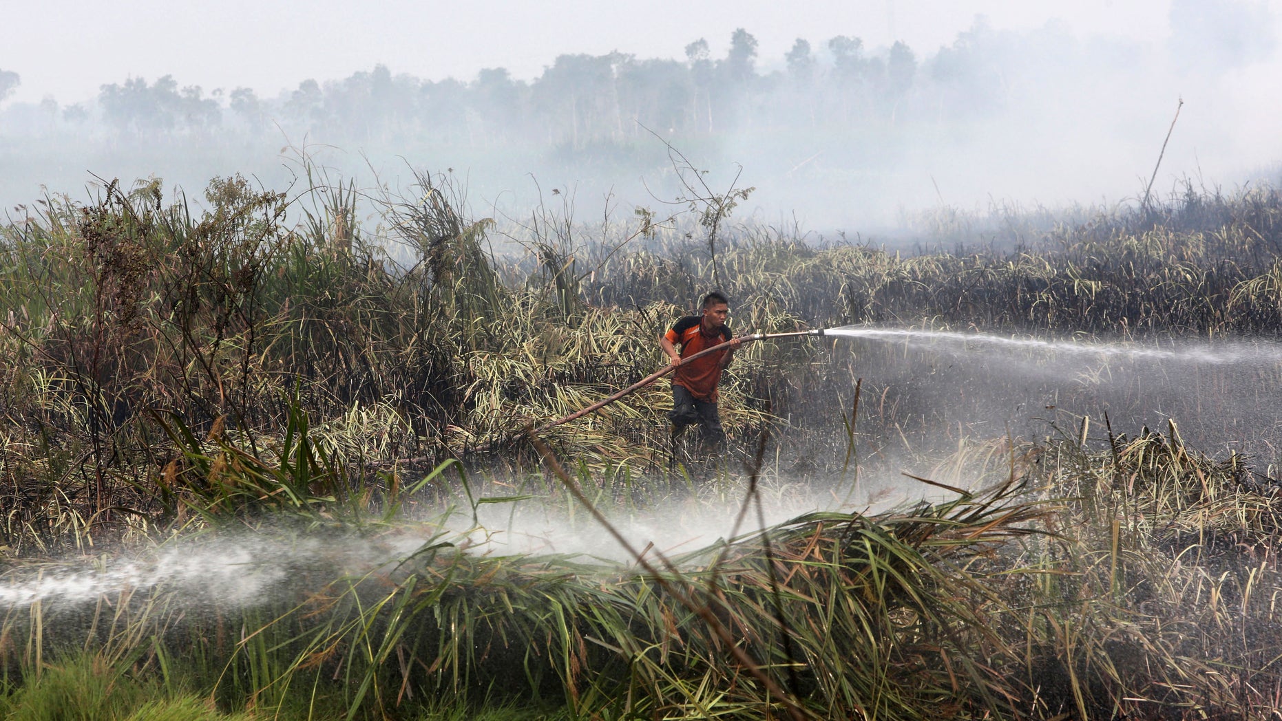 In this Thursday, Sept. 17, 2015 file photo, a fireman sprays water to extinguish wildfire on a peatland field in Ogan Ilir, South Sumatra, Indonesia.