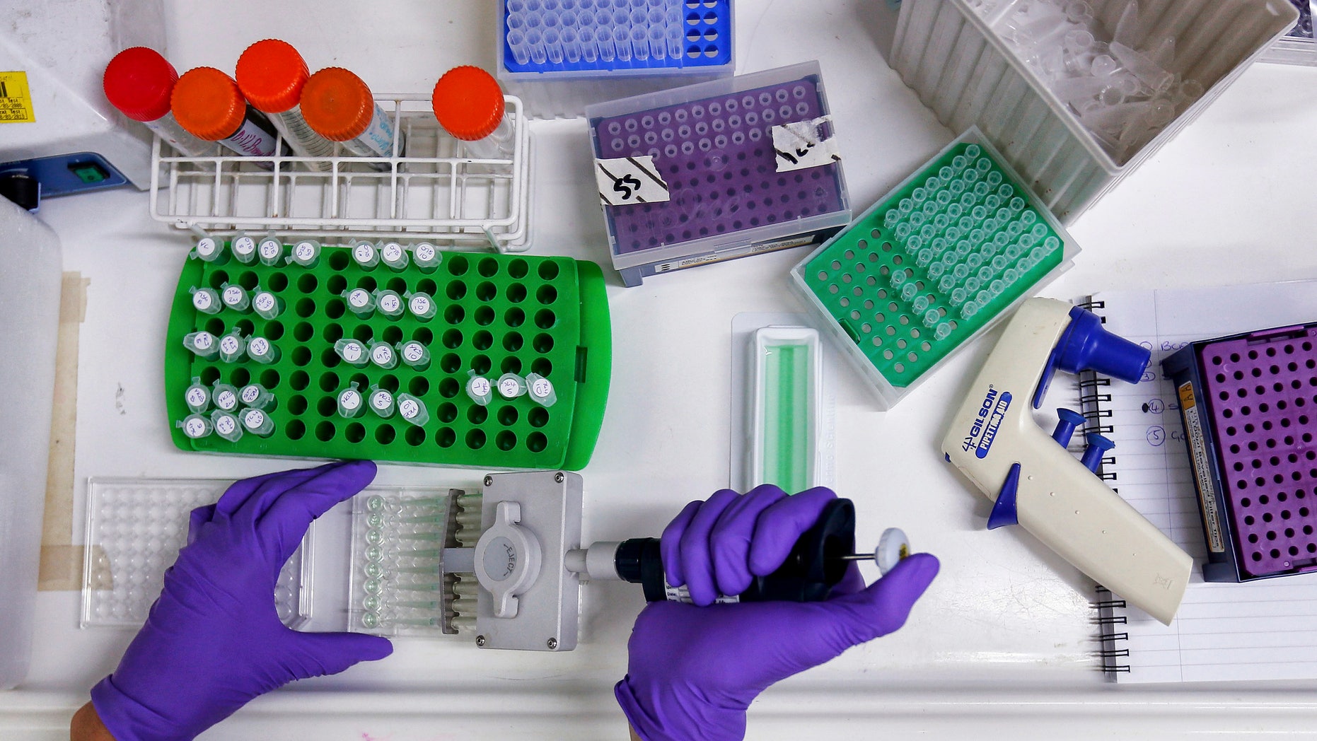 Scientist prepares protein samples for analysis in a lab at the Institute of Cancer Research in Sutton.