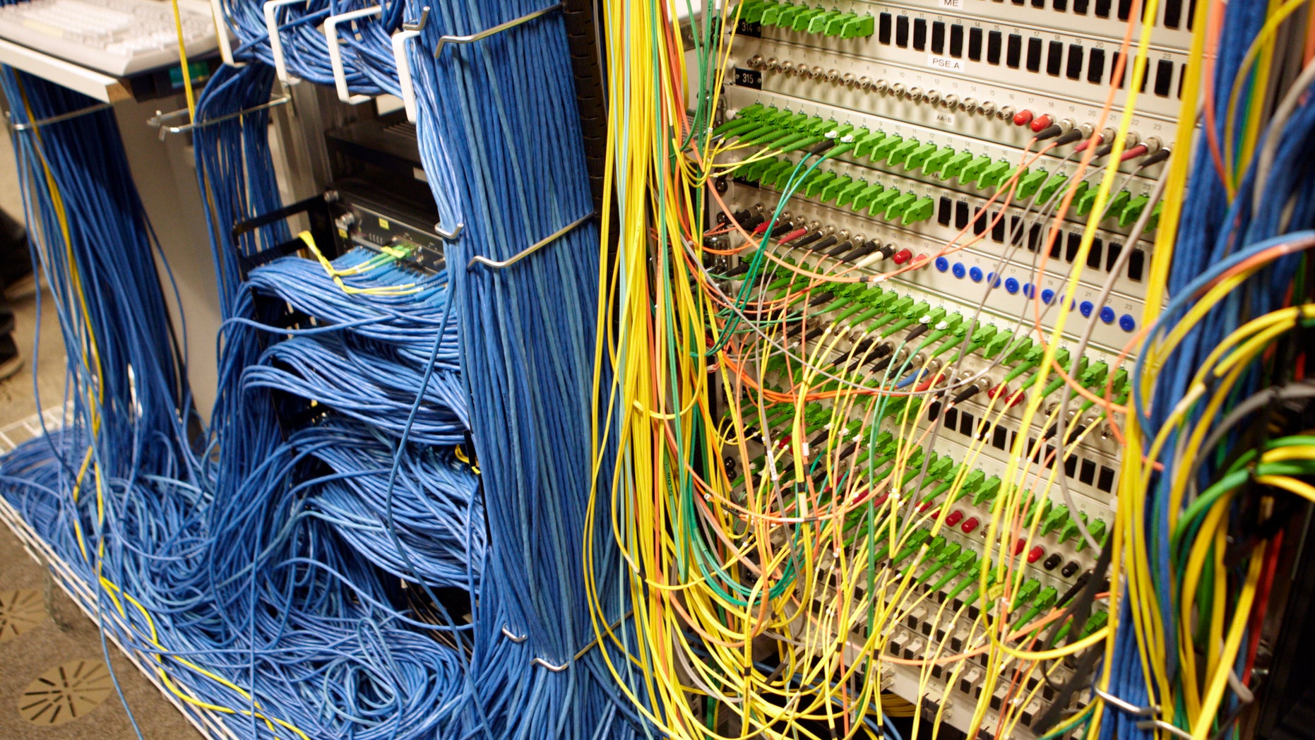 Cables are pictured on the Internet server at the Swiss Federal Institute of Technology (EPFL) in Ecublens, near Lausanne May 9, 2011.