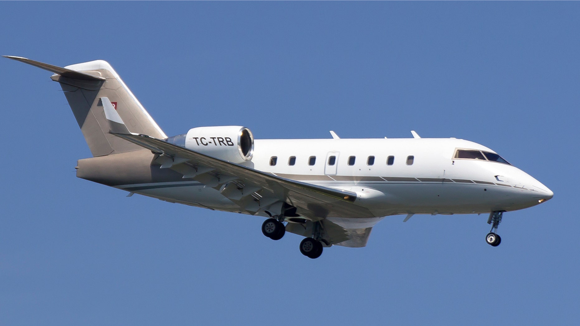A private jet similar to the aircraft seen here crashed in Iran, killing a socialite and her bachelorette party, according to reports.