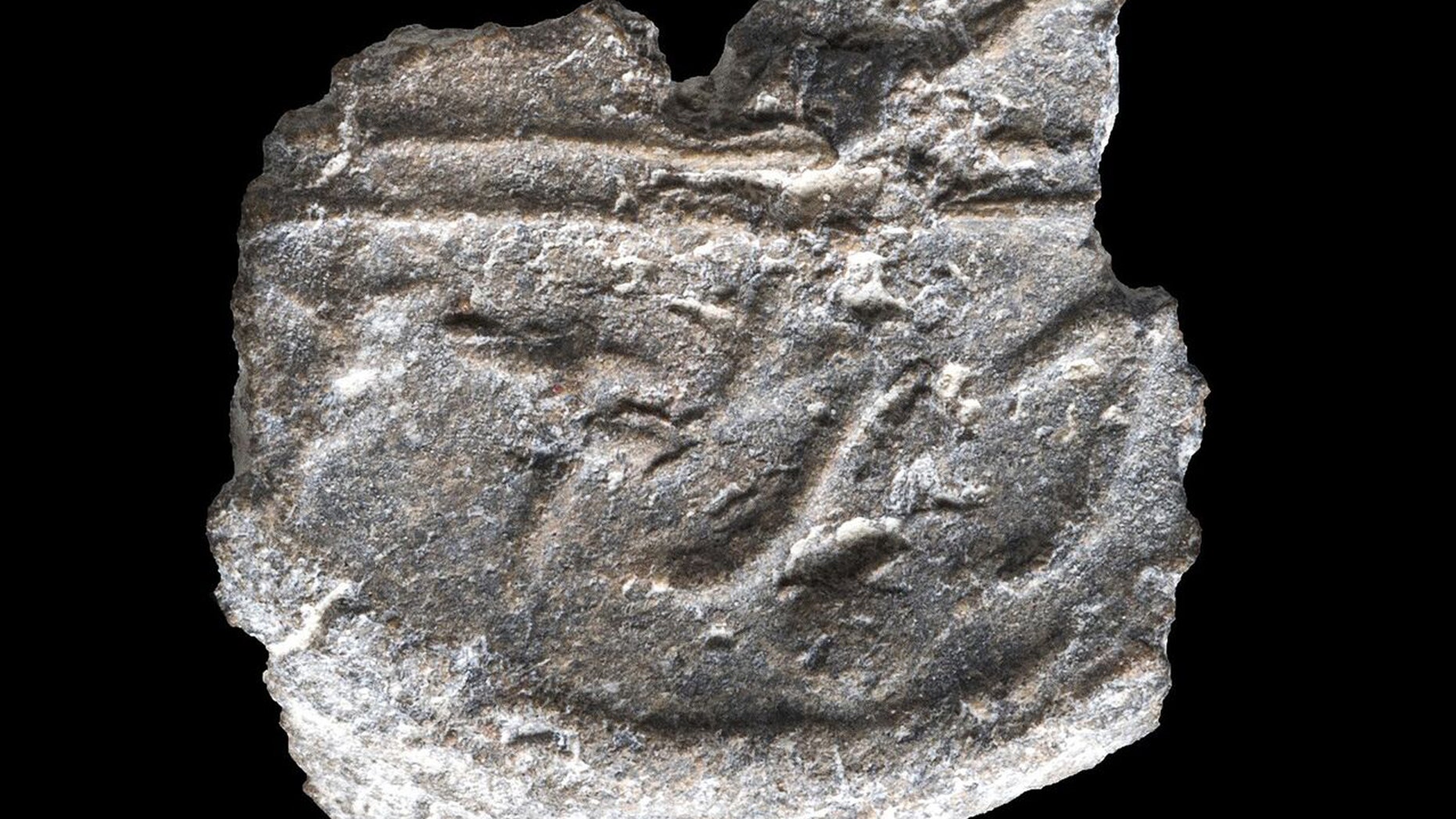 Seal bearing the name “Pinchas”. (Credit: Clara Amit, Antiquities Authority)