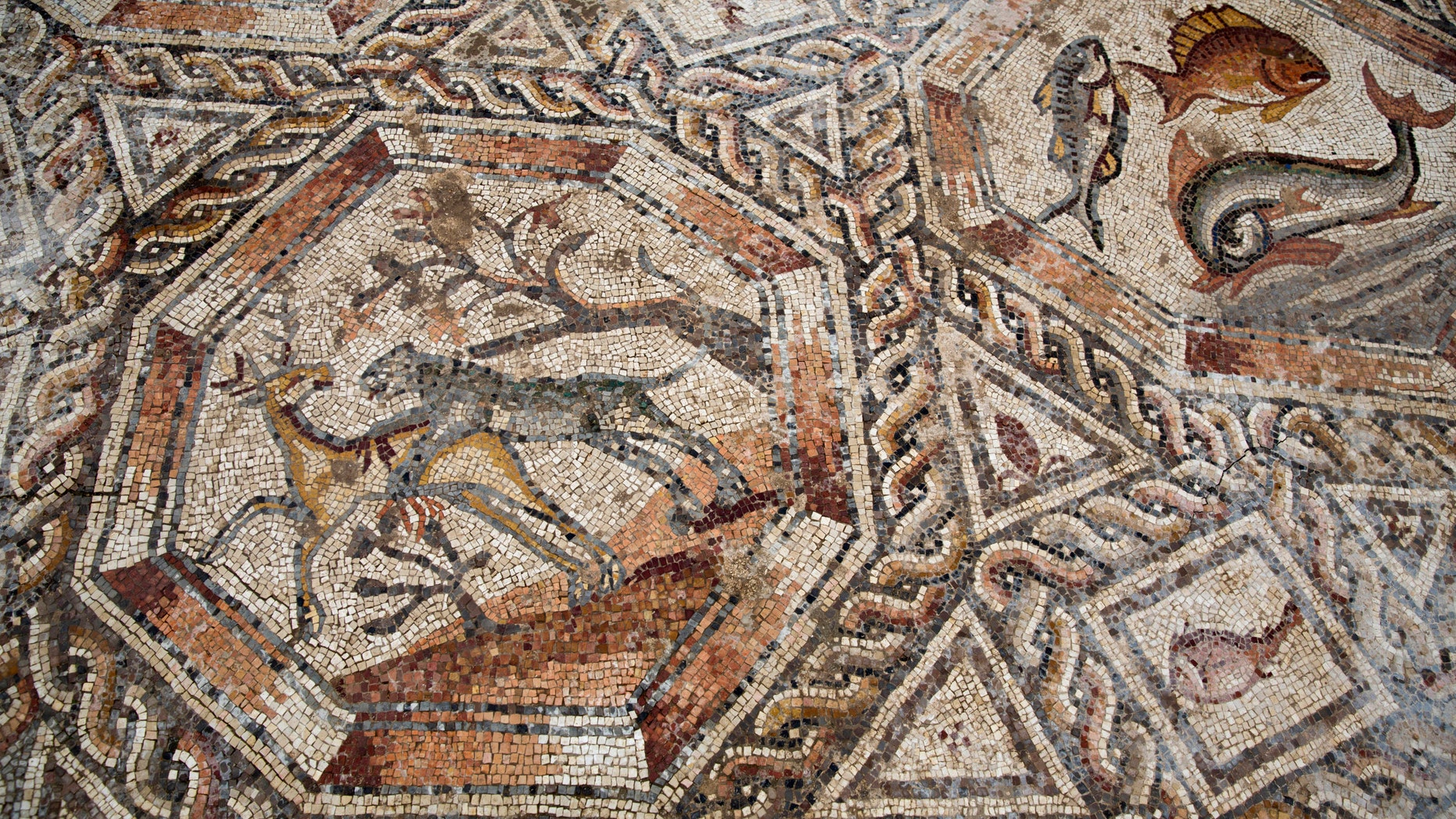 A partial view of a 1,700-year-old Roman-era mosaic floor in Lod, Israel, Monday, Nov. 16, 2015. (AP Photo/Ariel Schalit)
