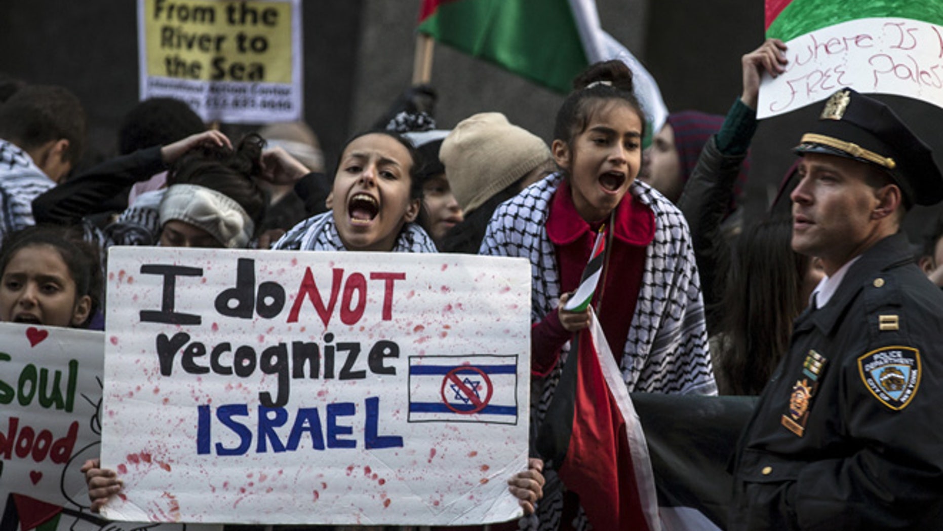 A demonstrator chants slogans during a pro-Palestinian protest in New York's Times Square, in this Oct. 18, 2015 file photo.
