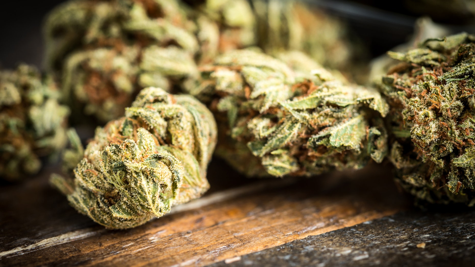 The unidentified toddler ingested the marijuana at his parents' home.