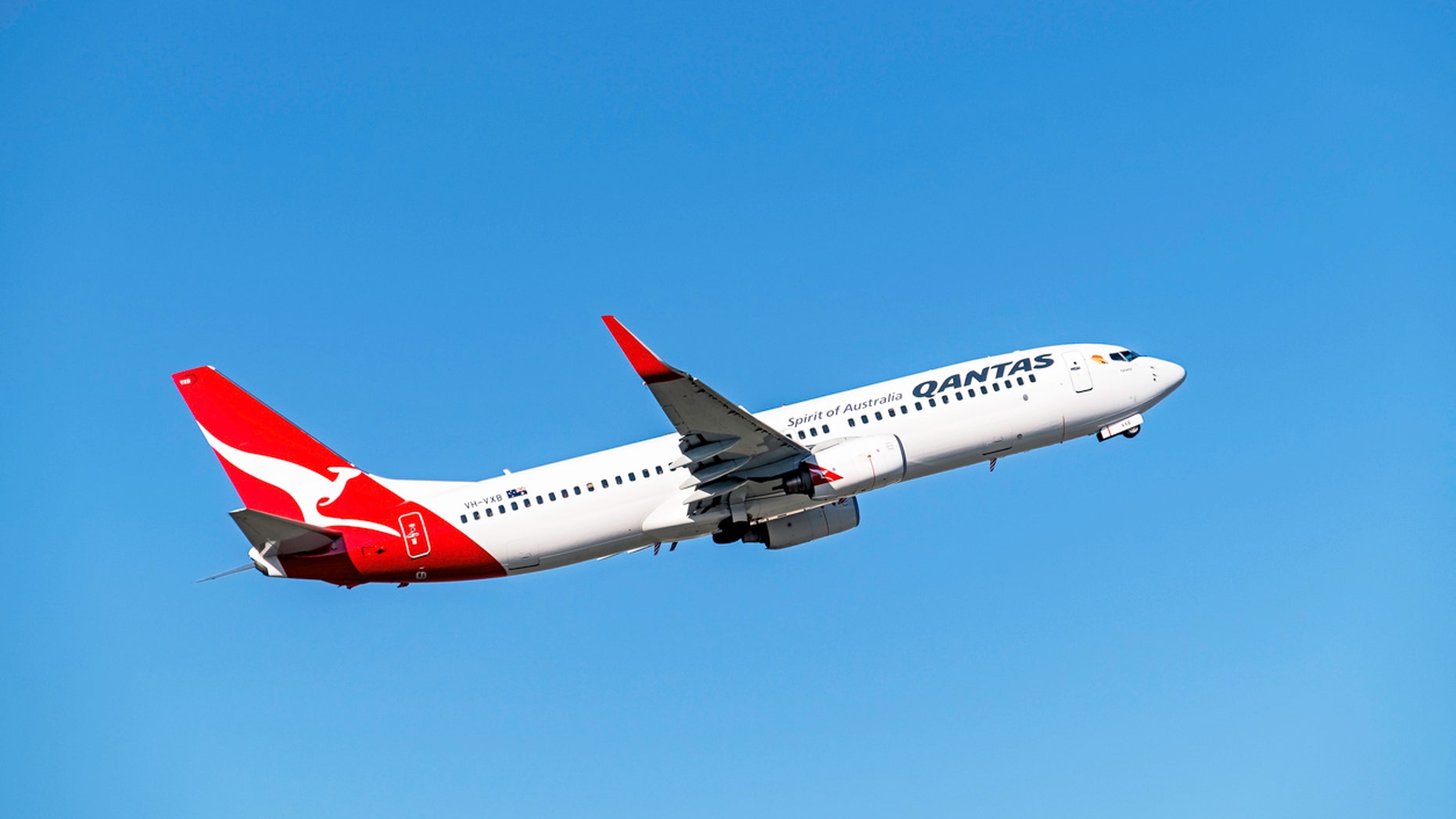 The CEO of Qantas Airlines reportedly mused that cargo hold could prove a valuable new cabin class.