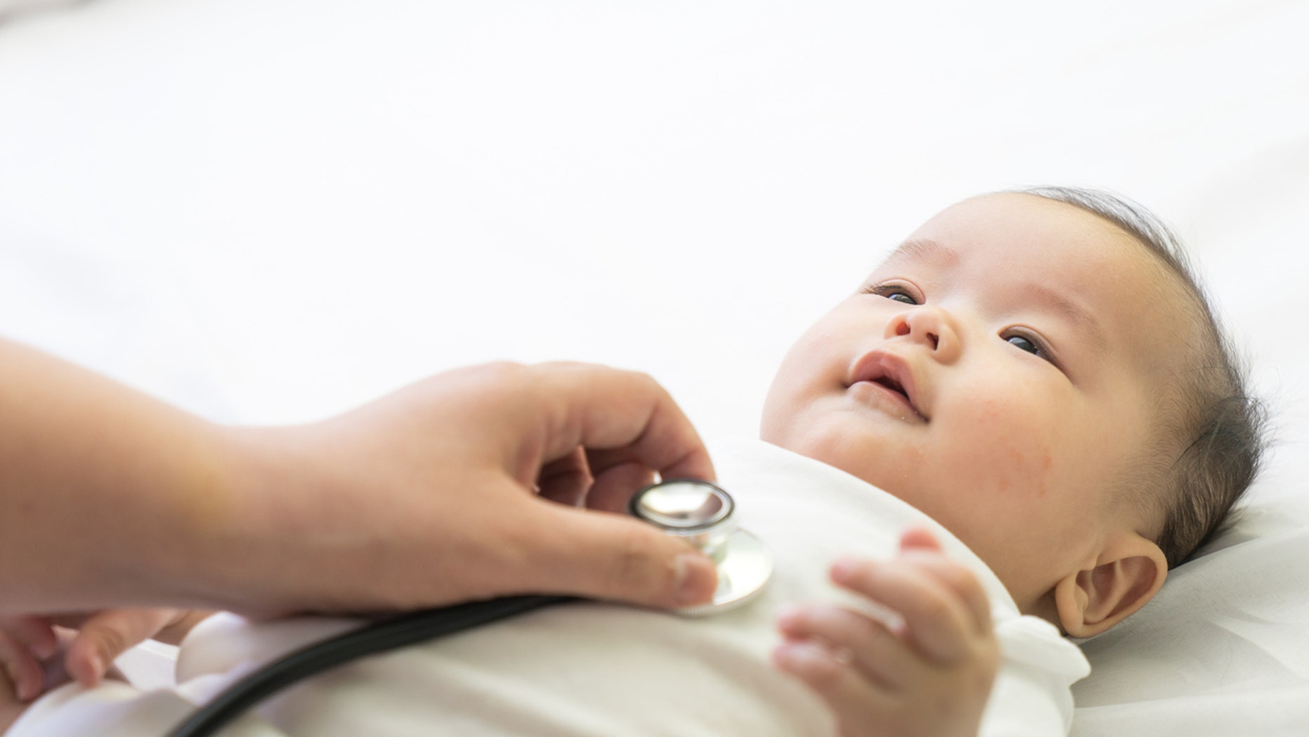 Human infants are most vulnerable to whooping cough during their first two months of life — when they are too young to get the whooping cough vaccine.