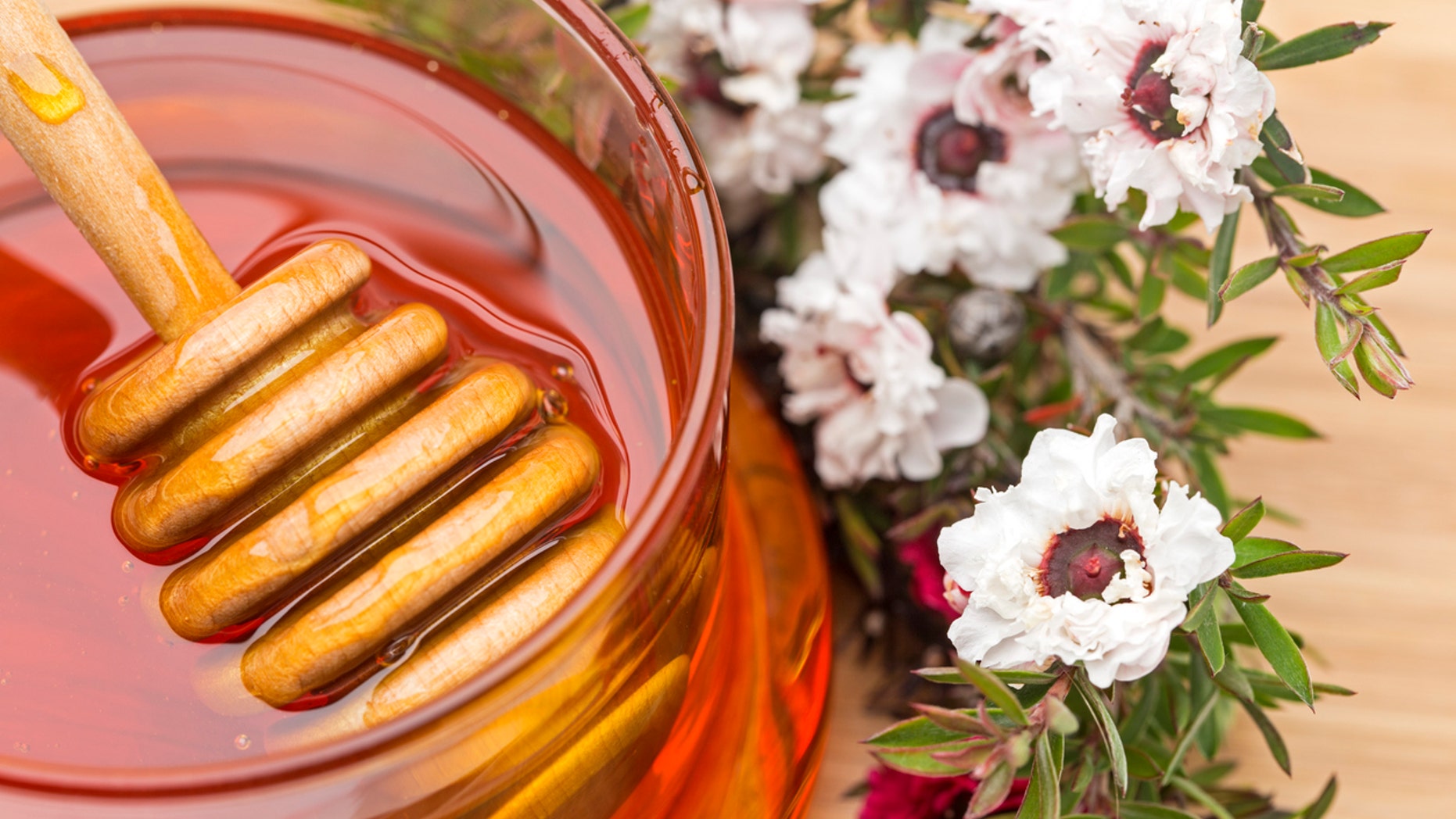 Manuka (New Zealand Tea Tree) Flowers and Honey