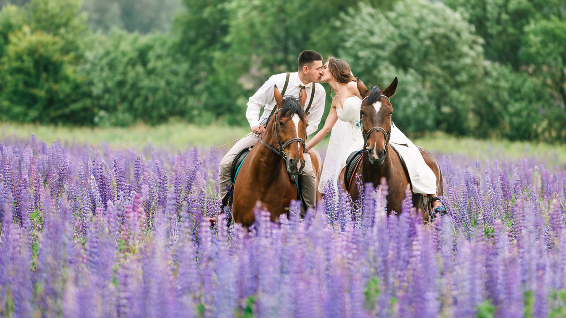 The bride's horse took over the photo shoot with an ear-to-ear grin that has won Facebook over.