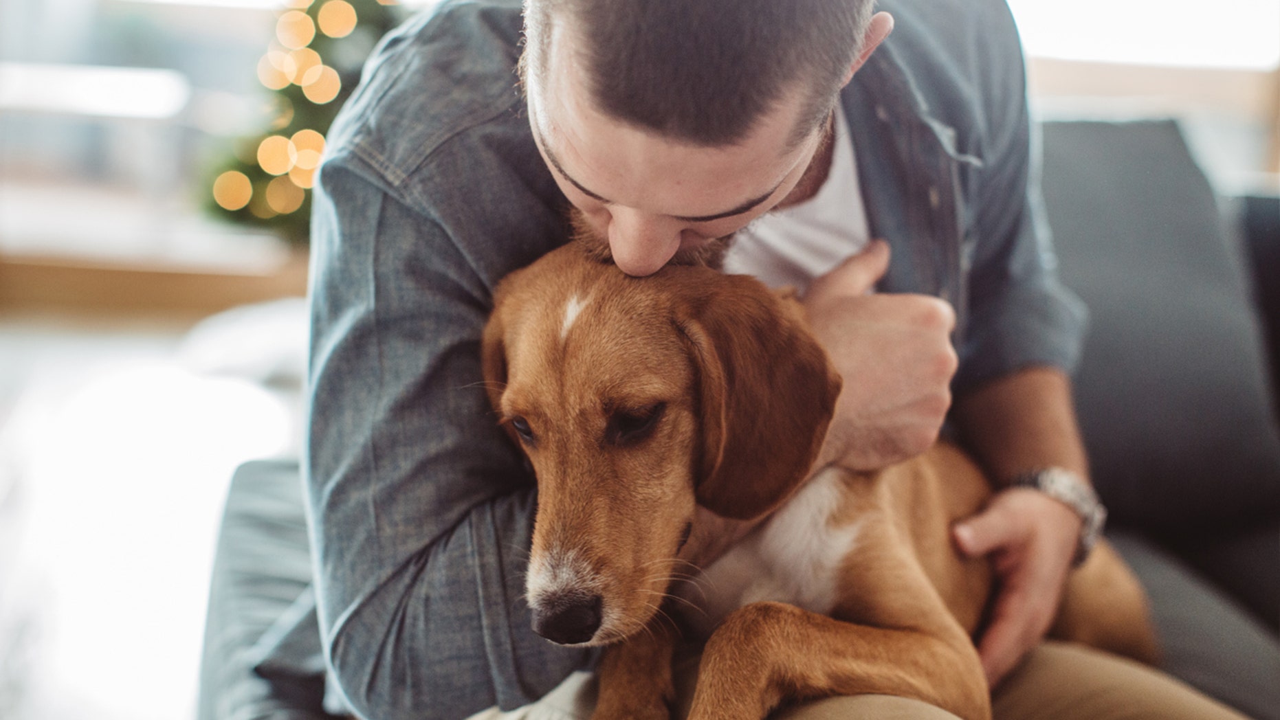 Two major studies claim that man has more empathy for dogs in dire circumstances than suffering people.