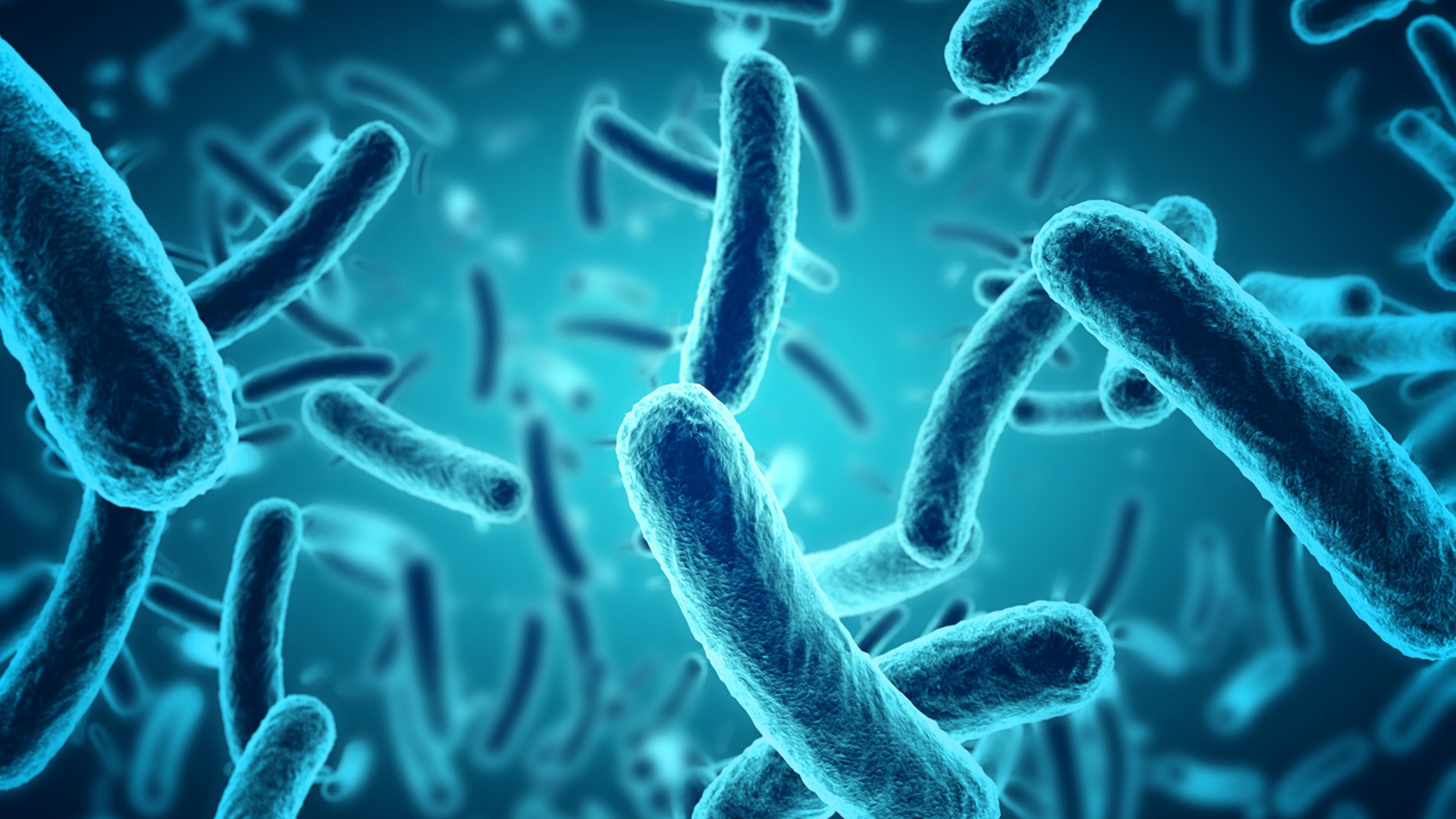 There were 94,530 human cases of salmonellosis reported in the EU in 2016.