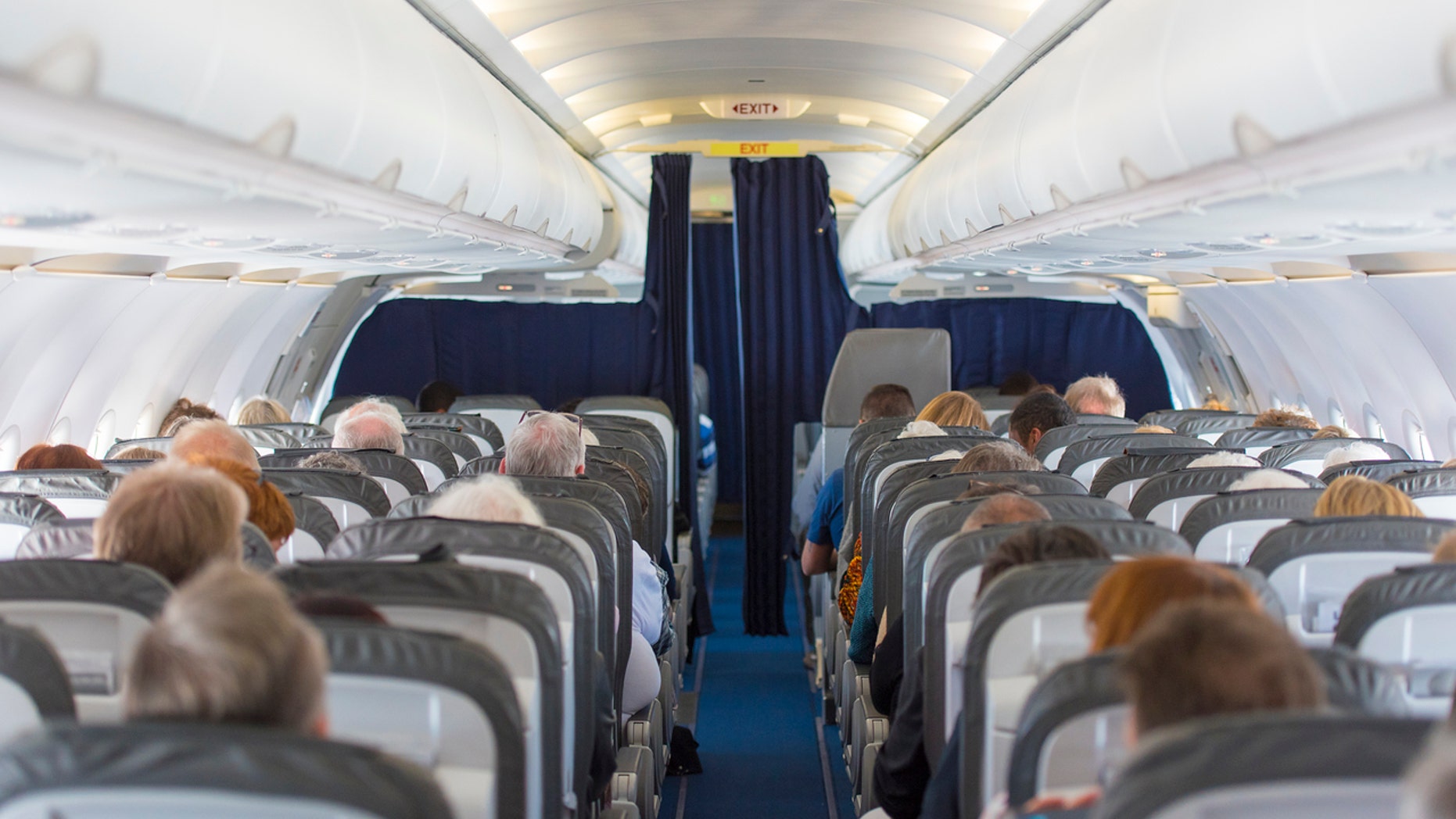 A Brazilian American got into a drunken brawl on a flight that resulted in her biting three flight attendants.