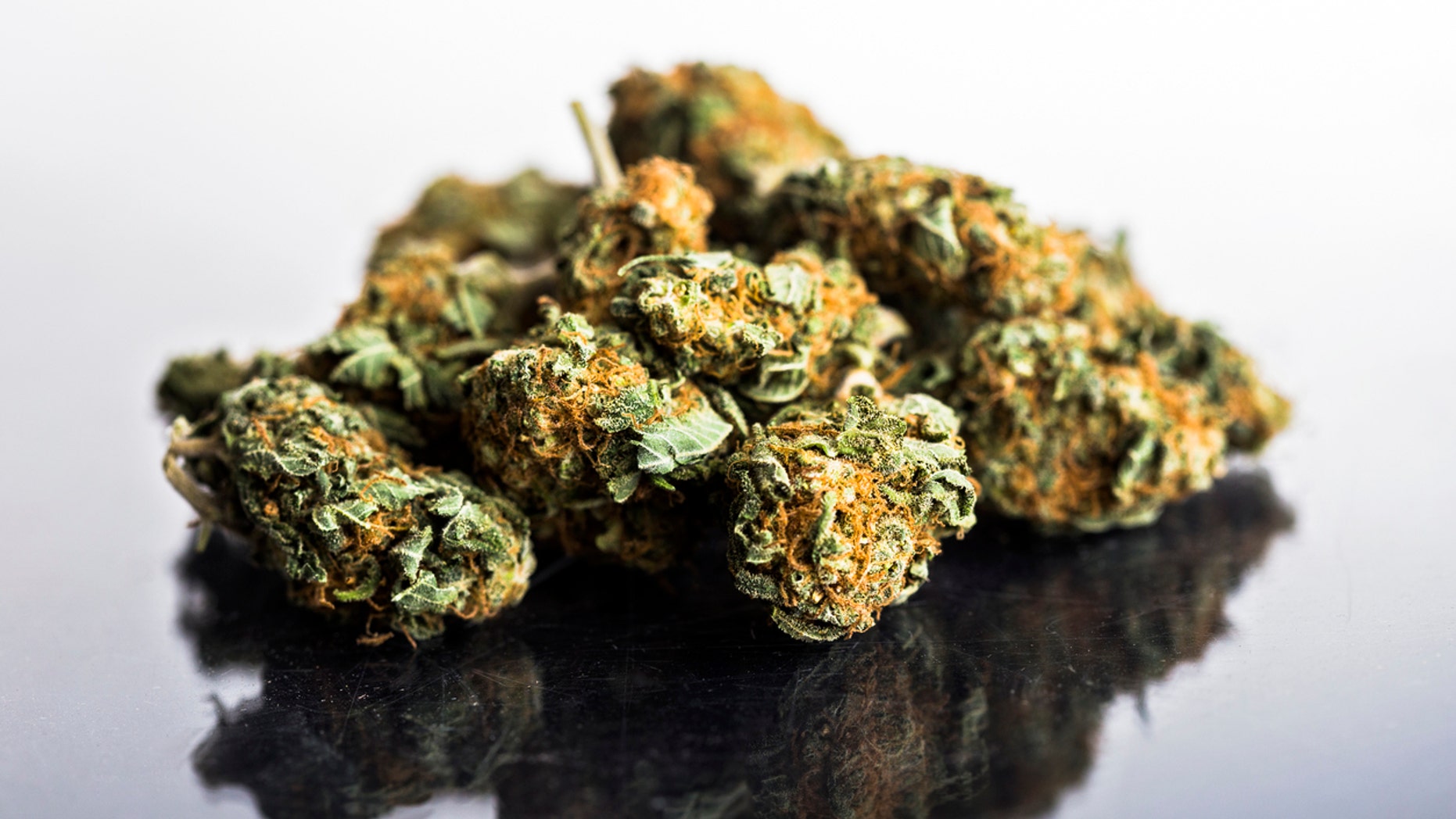 Unclaimed luggage at a Tennessee airport was found stuffed with 44 pounds of weed.