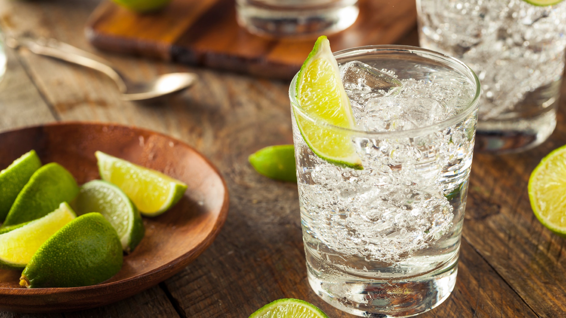 Alcoholic Gin and Tonic with a Lime Garnish