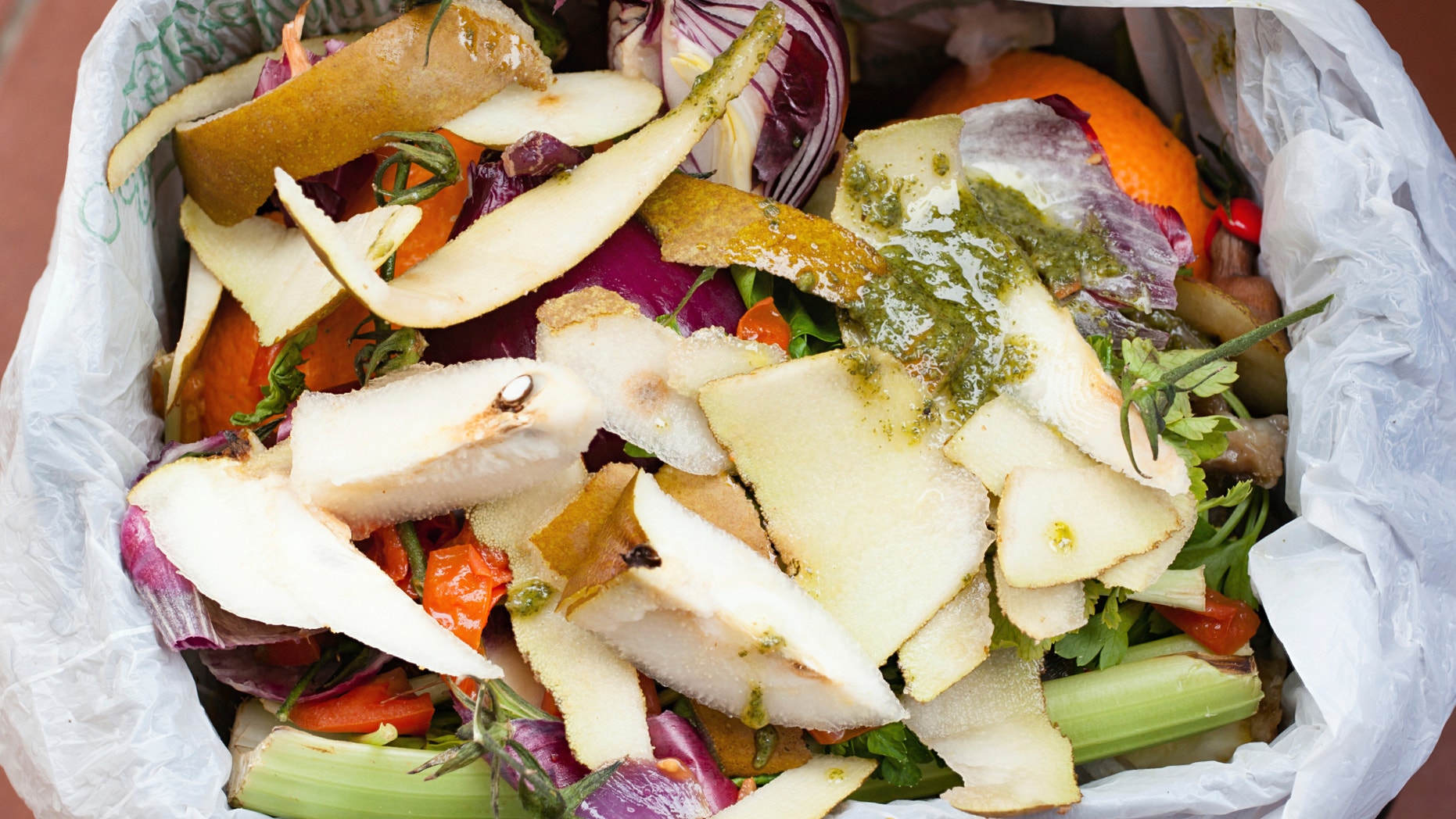 Organic waste for compost with vegetables, fruits and varied food.